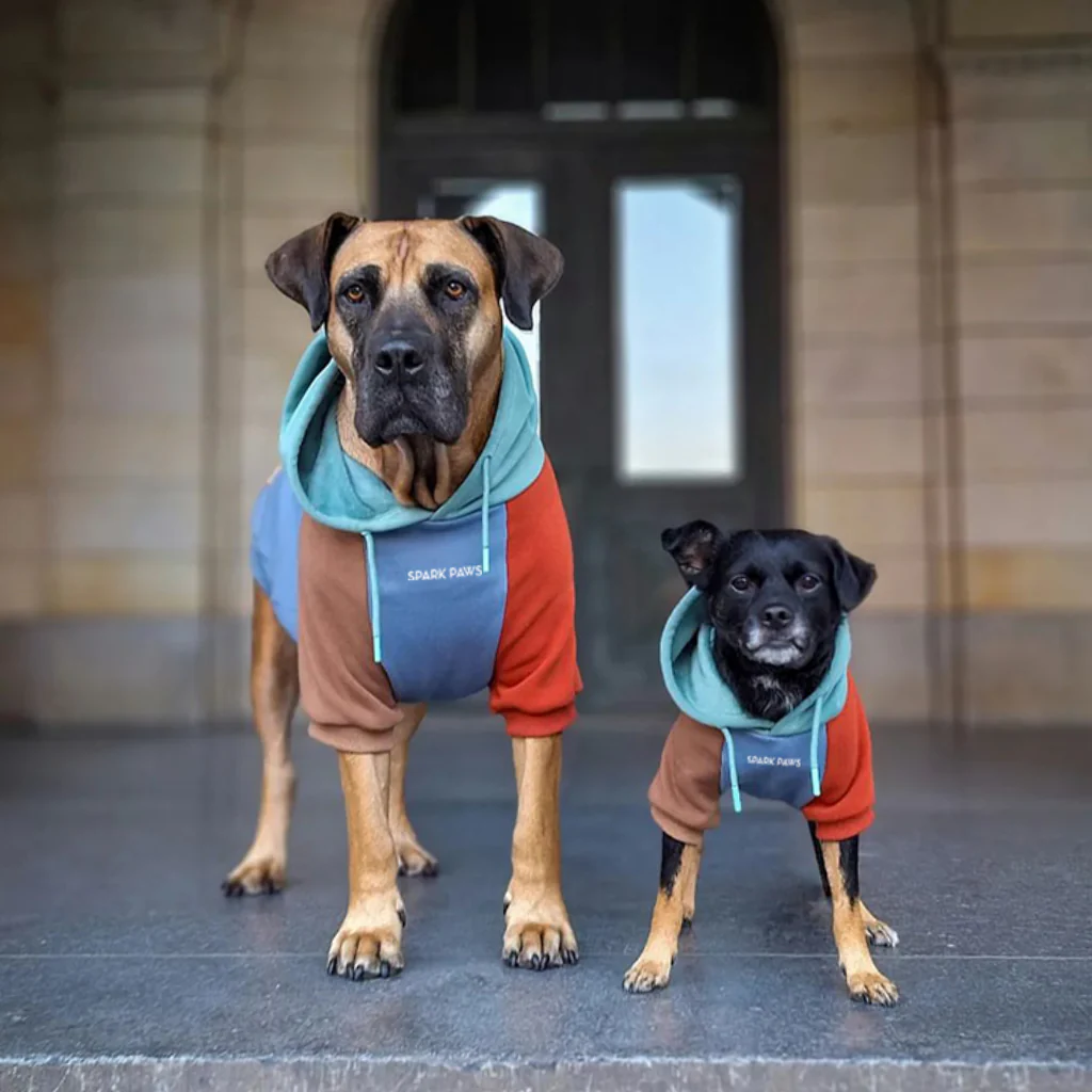 Color Block Dog Hoodies - Image 37