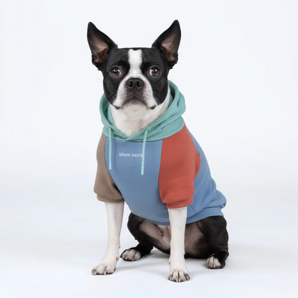 Color Block Dog Hoodies - Image 27