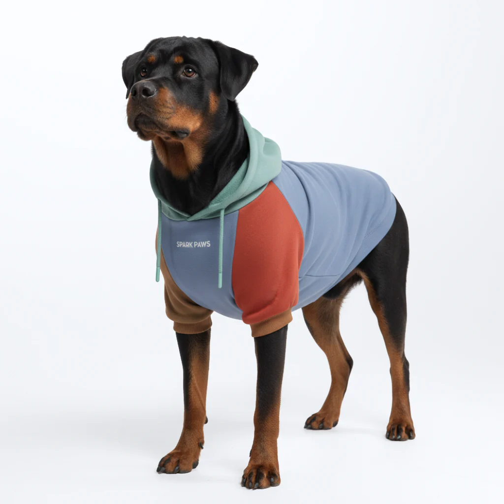 Color Block Dog Hoodies - Image 32