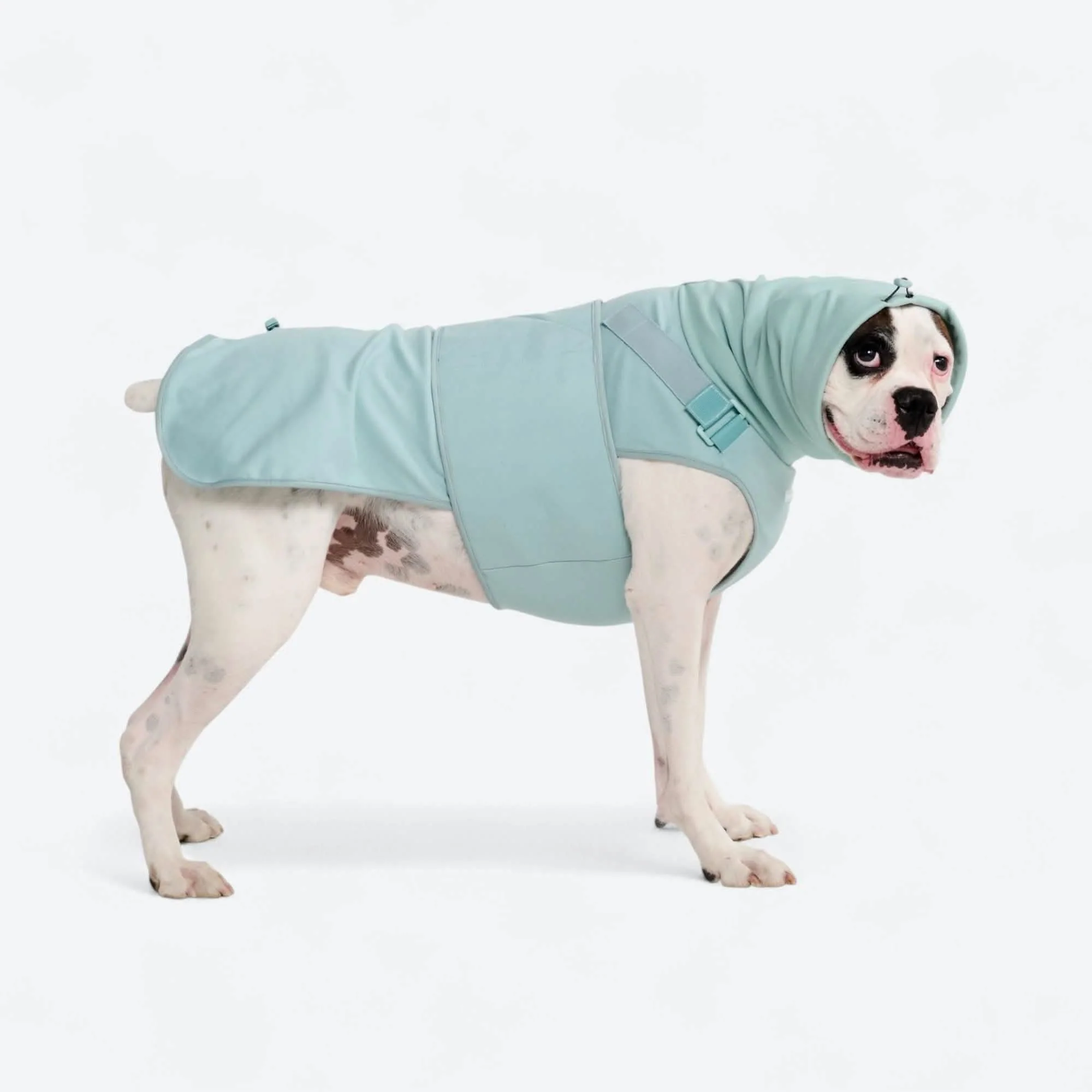 Anxiety Calming Suit - Teal - Image 3