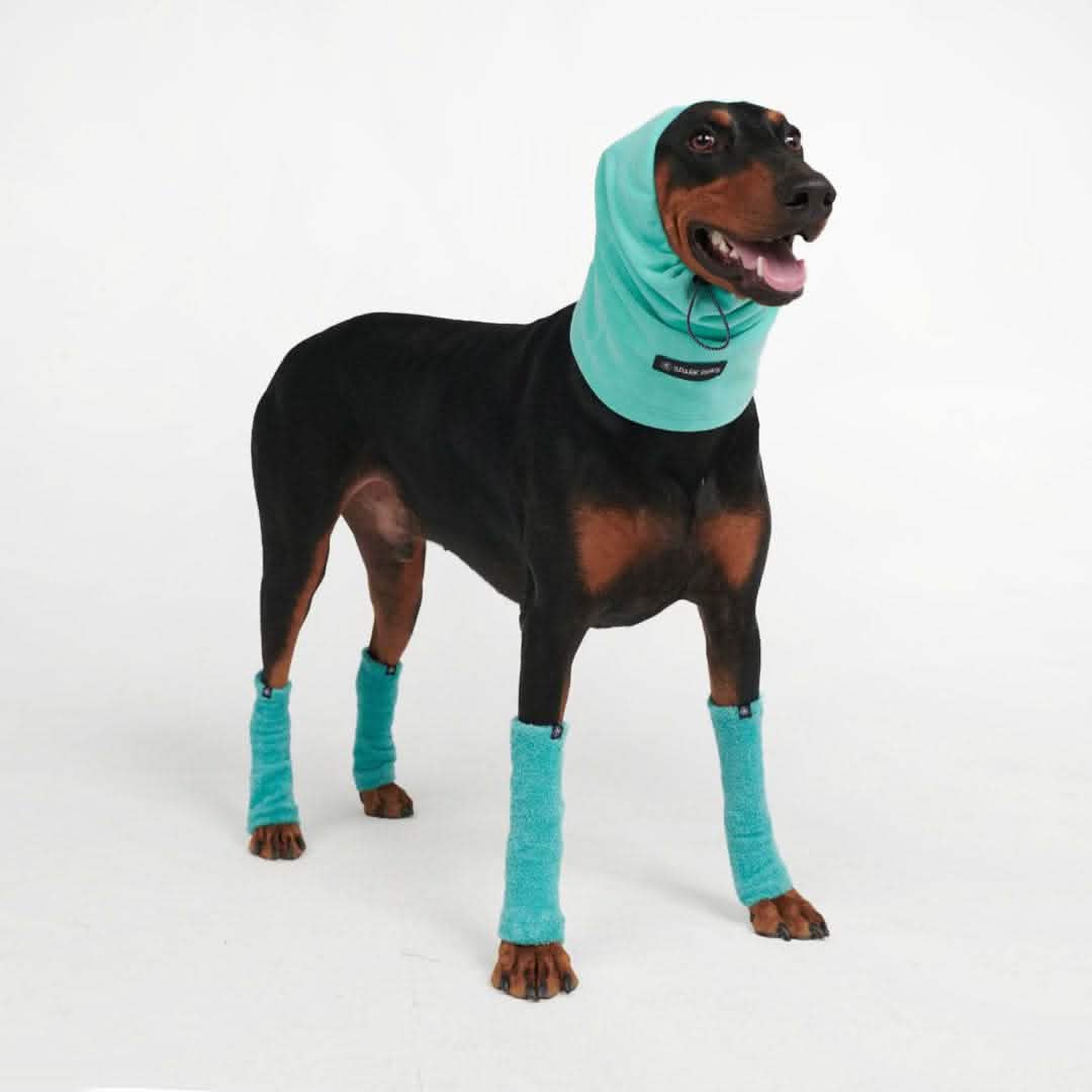 Anxiety Calming Dog Earmuff Protector - Image 11