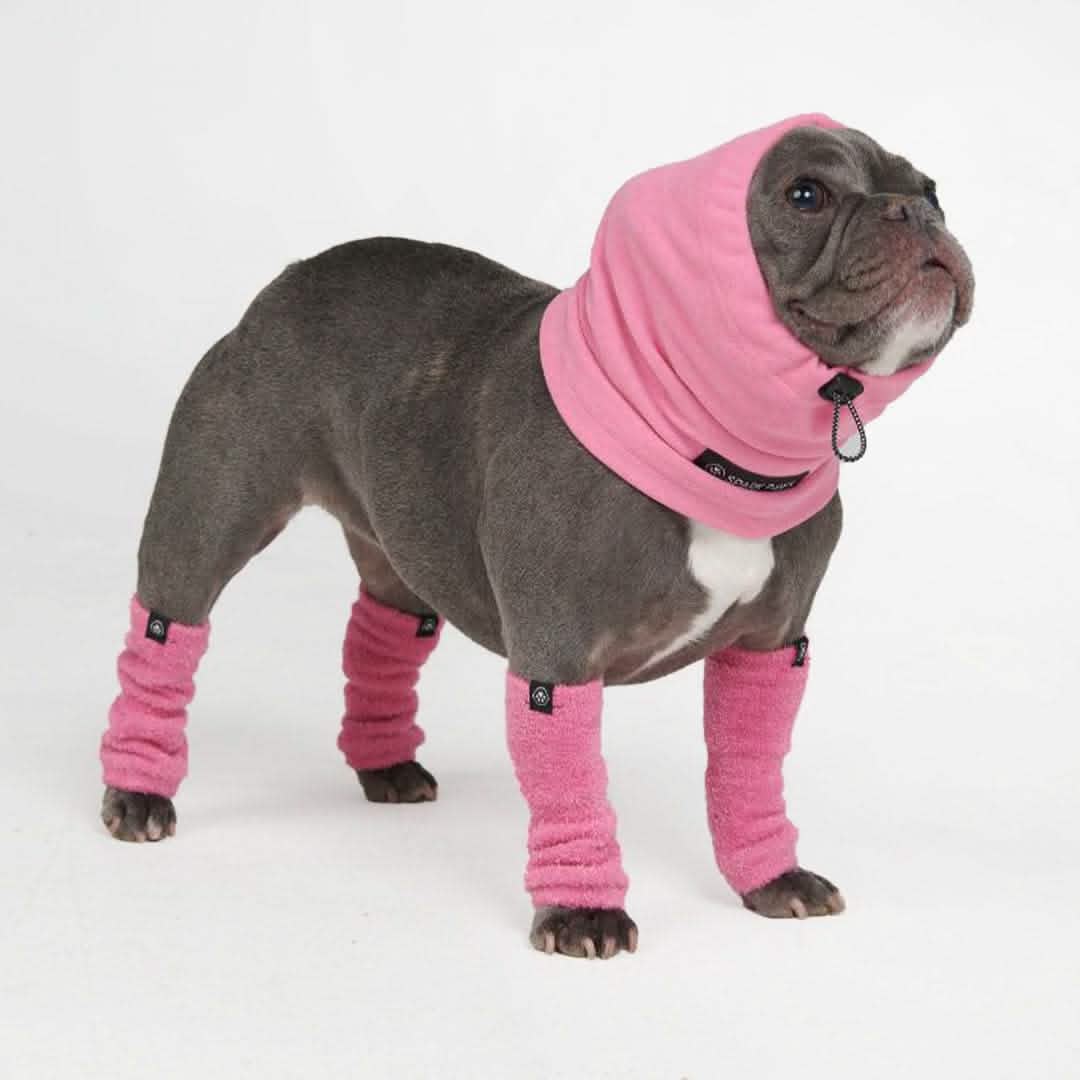 Anxiety Calming Dog Earmuff Protector - Image 3