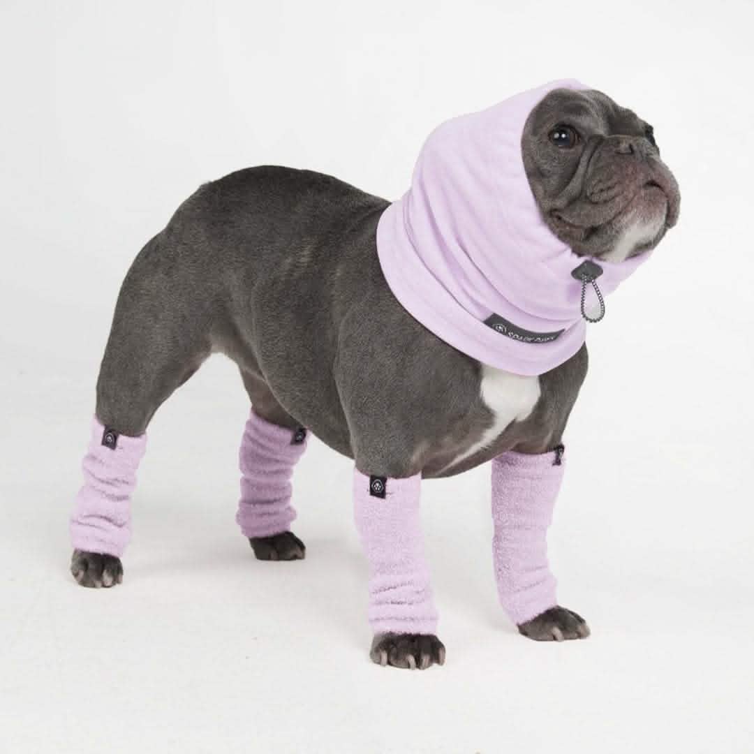 Anxiety Calming Dog Earmuff Protector - Image 5