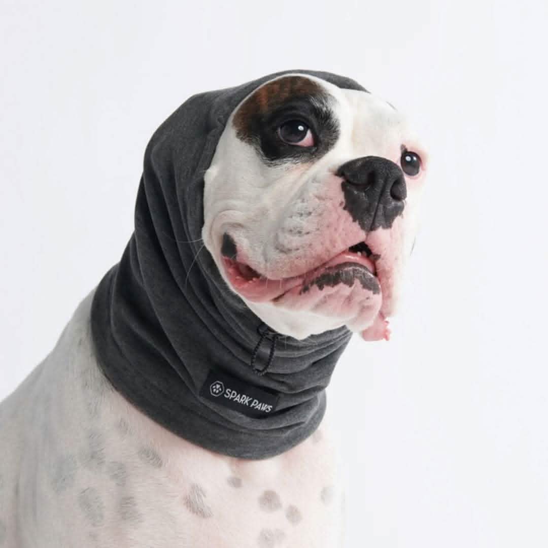 Anxiety Calming Dog Earmuff Protector - Image 6
