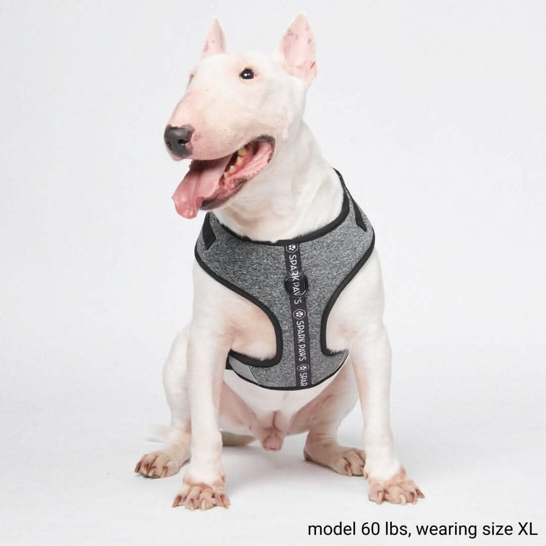 Ultra-Soft Activewear Harness (Multi Color) - Image 4