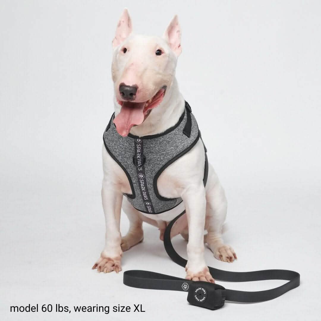 Ultra-Soft Activewear Harness Set (Multi) - Image 4