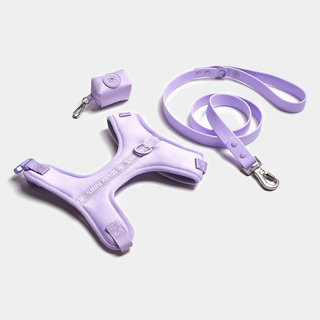 Ultra-Soft Activewear Harness Set (Multi) - Image 5