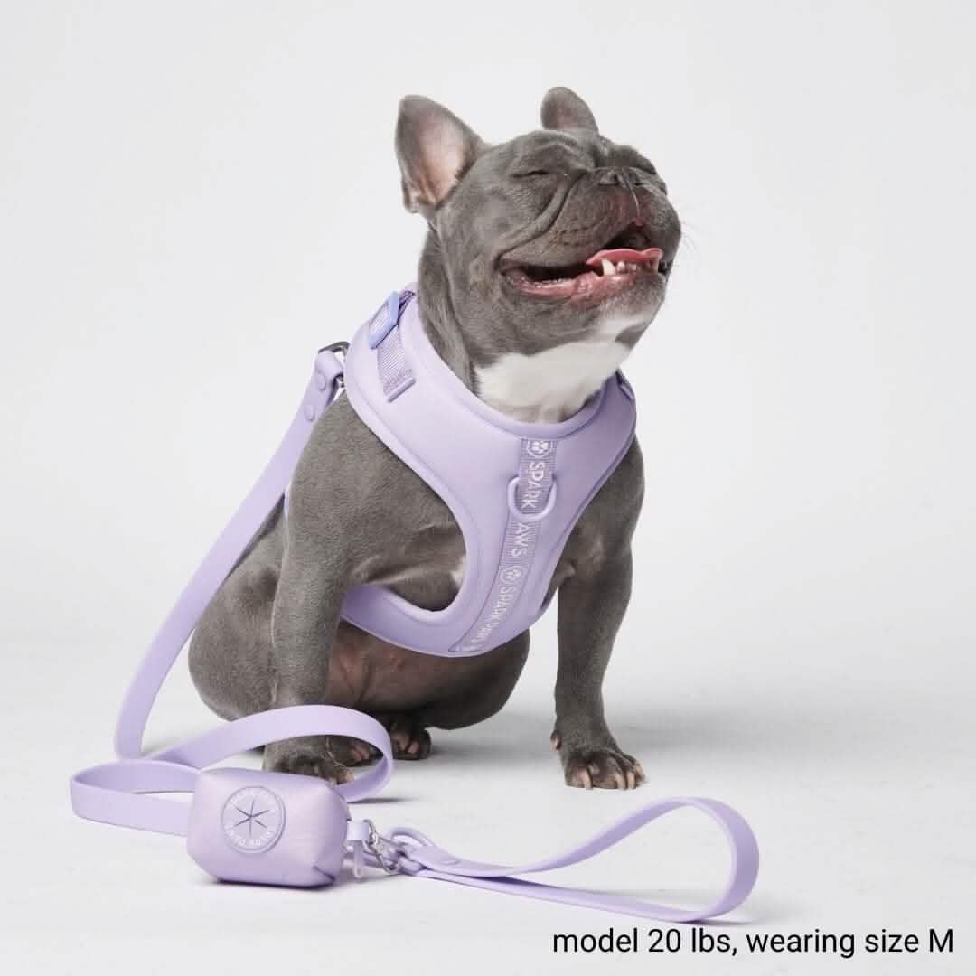 Ultra-Soft Activewear Harness Set (Multi) - Image 6