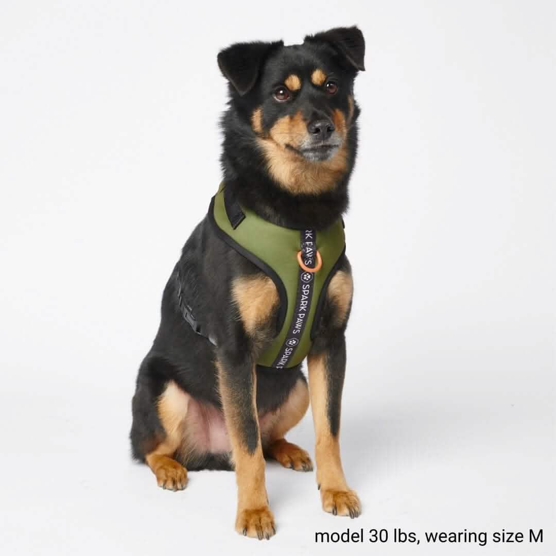 Ultra Soft Activewear Dog Harness - Green - Image 3