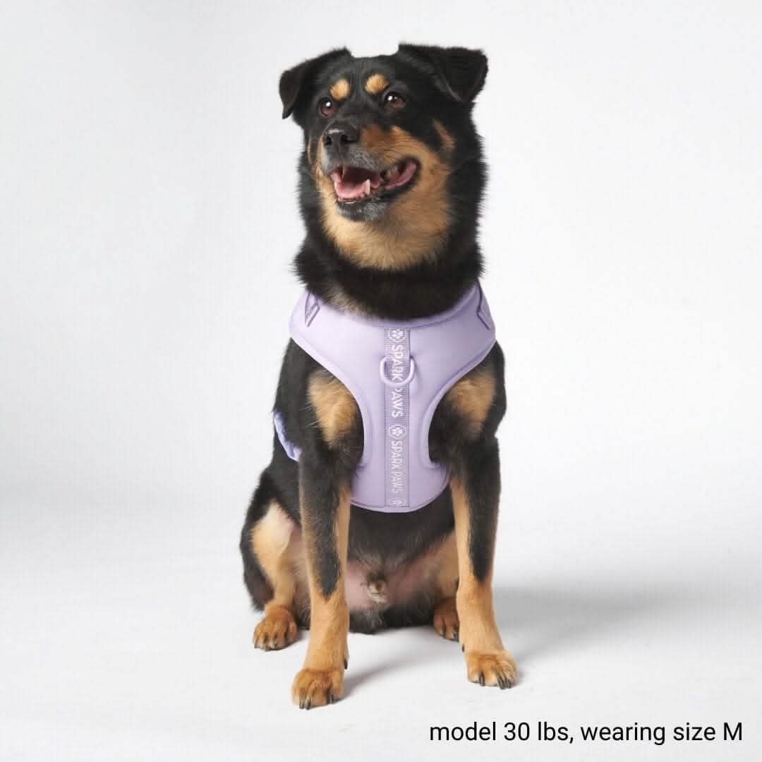 Ultra-Soft Activewear Harness - Lilac - Image 7