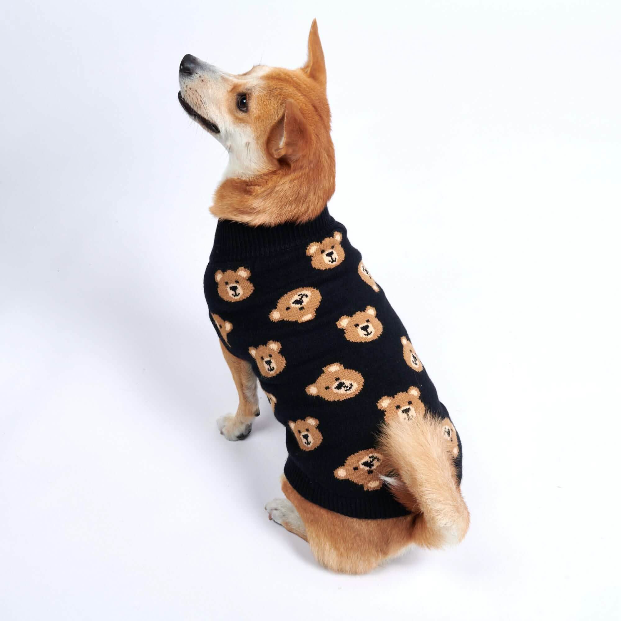 Broken Teddy Bear Knit Dog Sweater - Black - Image 3