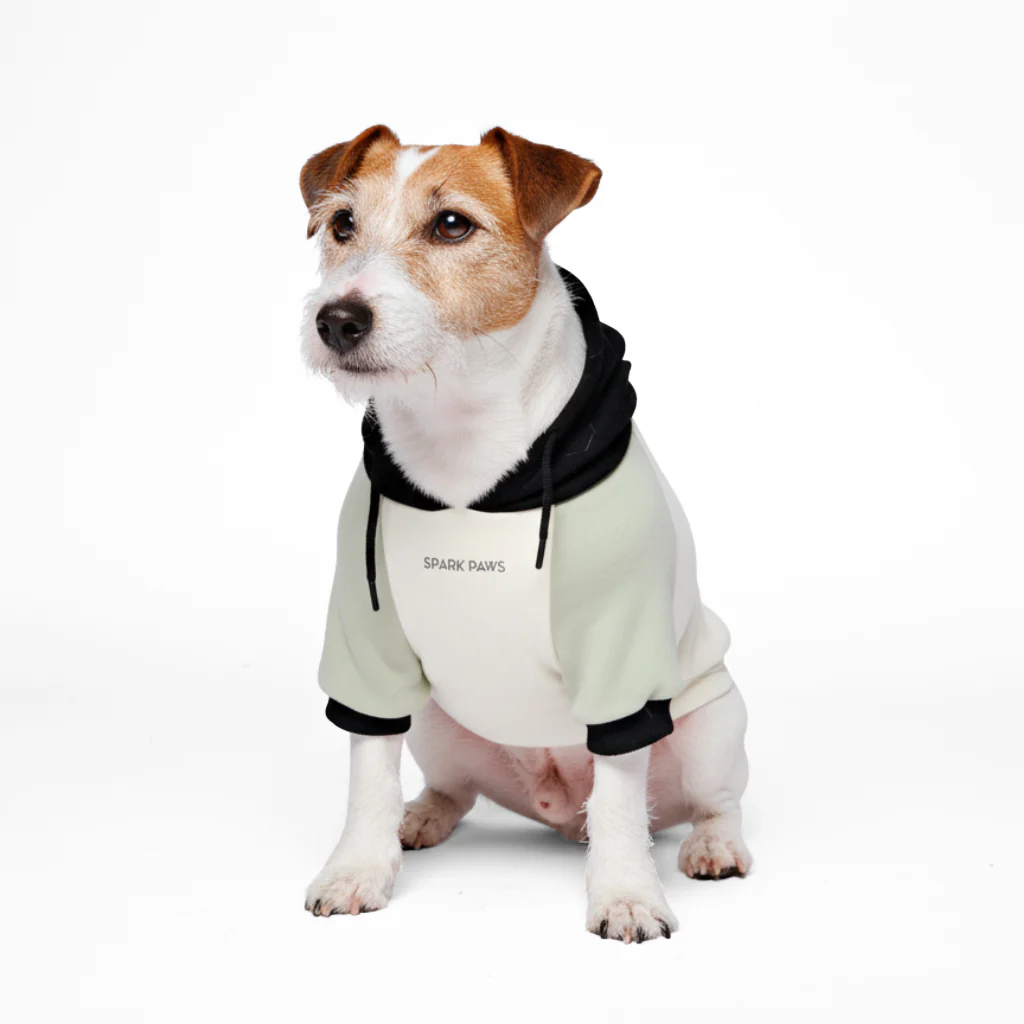 Olive Cream Dog Hoodie - Image 4