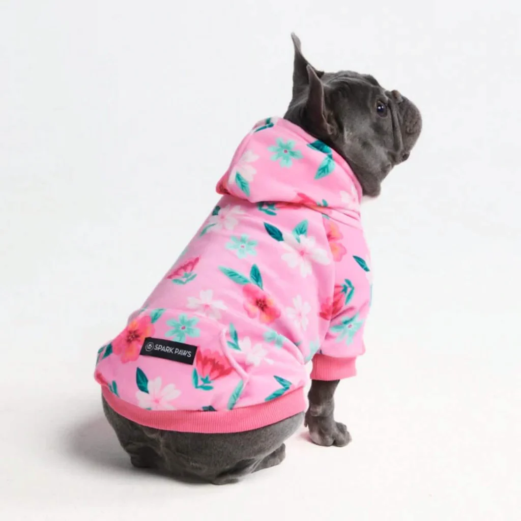 Blossom Dog Hoodie - Pink - Image 11