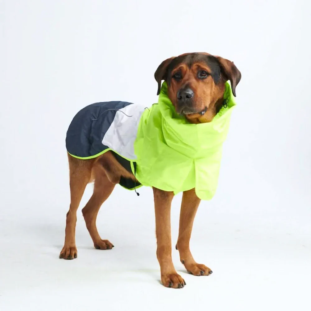 Breatheshield™ Dog Raincoats - Image 50