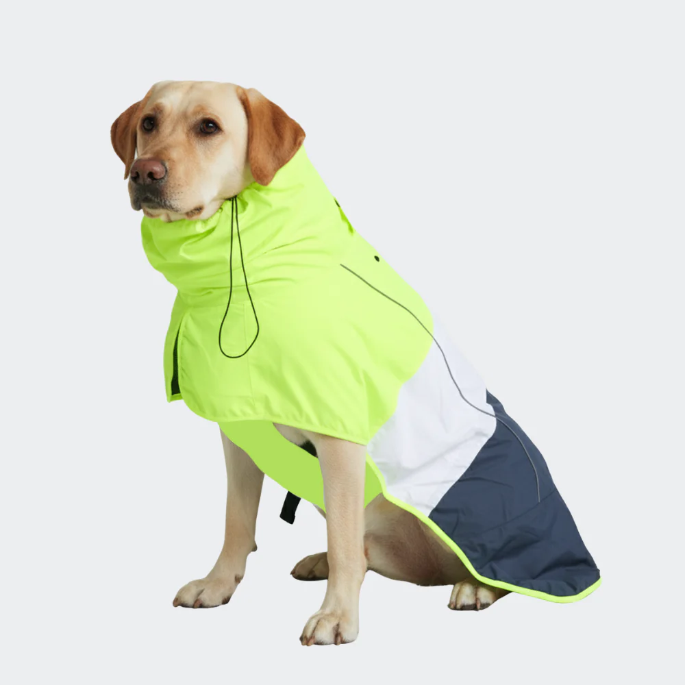 Breatheshield™ Dog Raincoats - Image 51