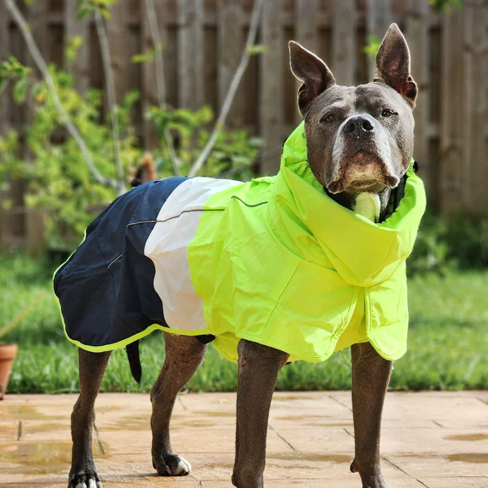 Breatheshield™ Dog Raincoats - Image 56