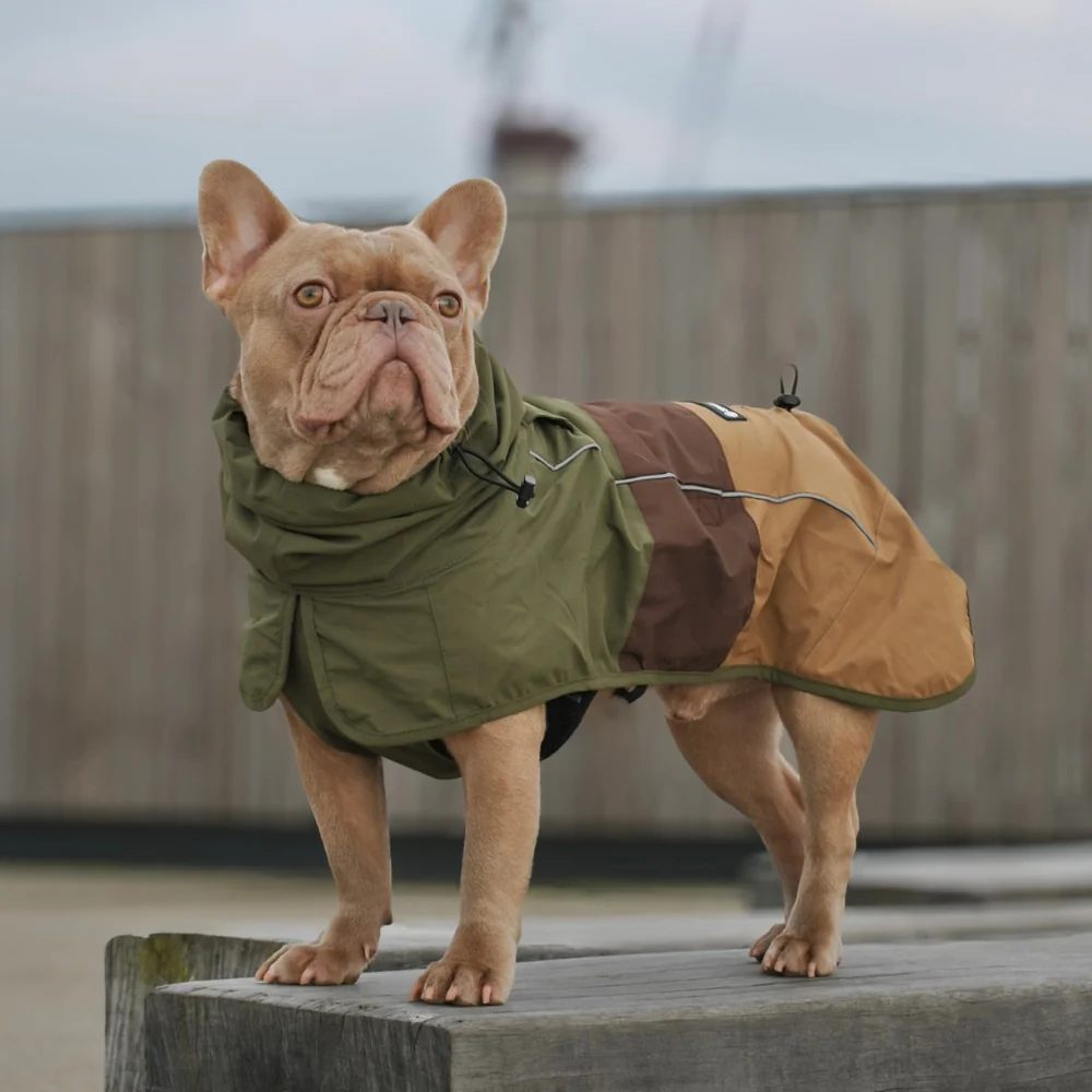 Breatheshield™ Dog Raincoats - Image 41