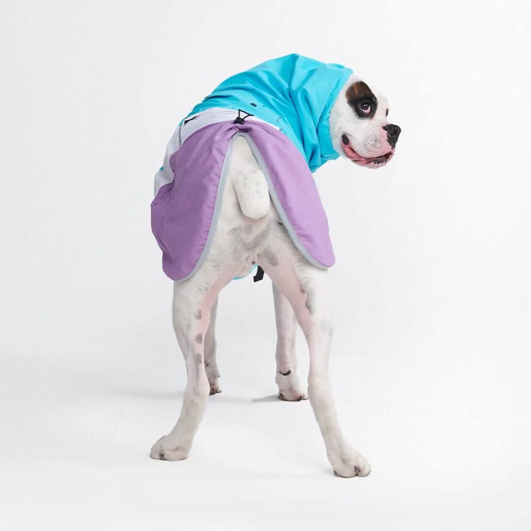 Breatheshield™ Dog Raincoat (Multi-Color) - Image 36