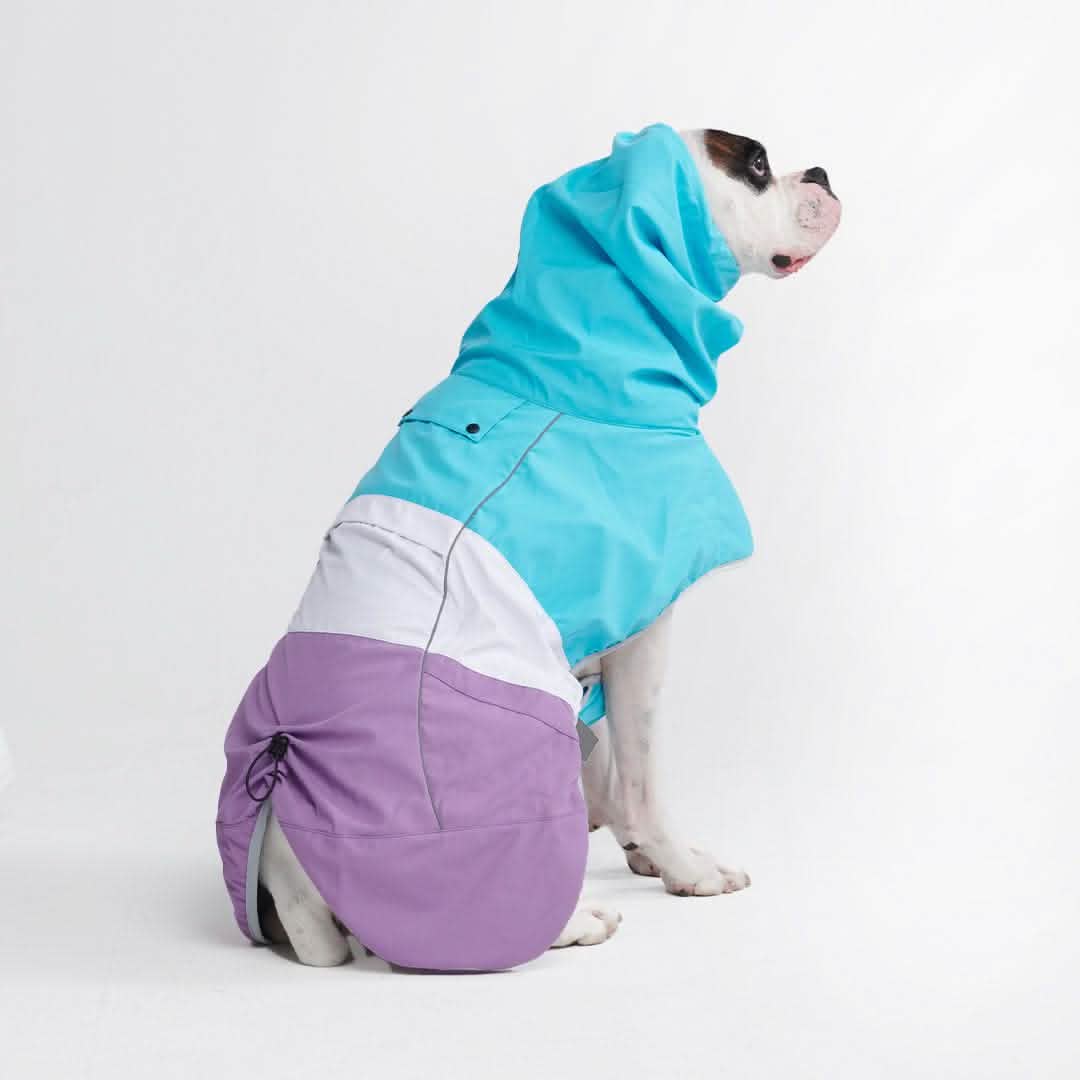Breatheshield™ Dog Raincoat (Multi-Color) - Image 37