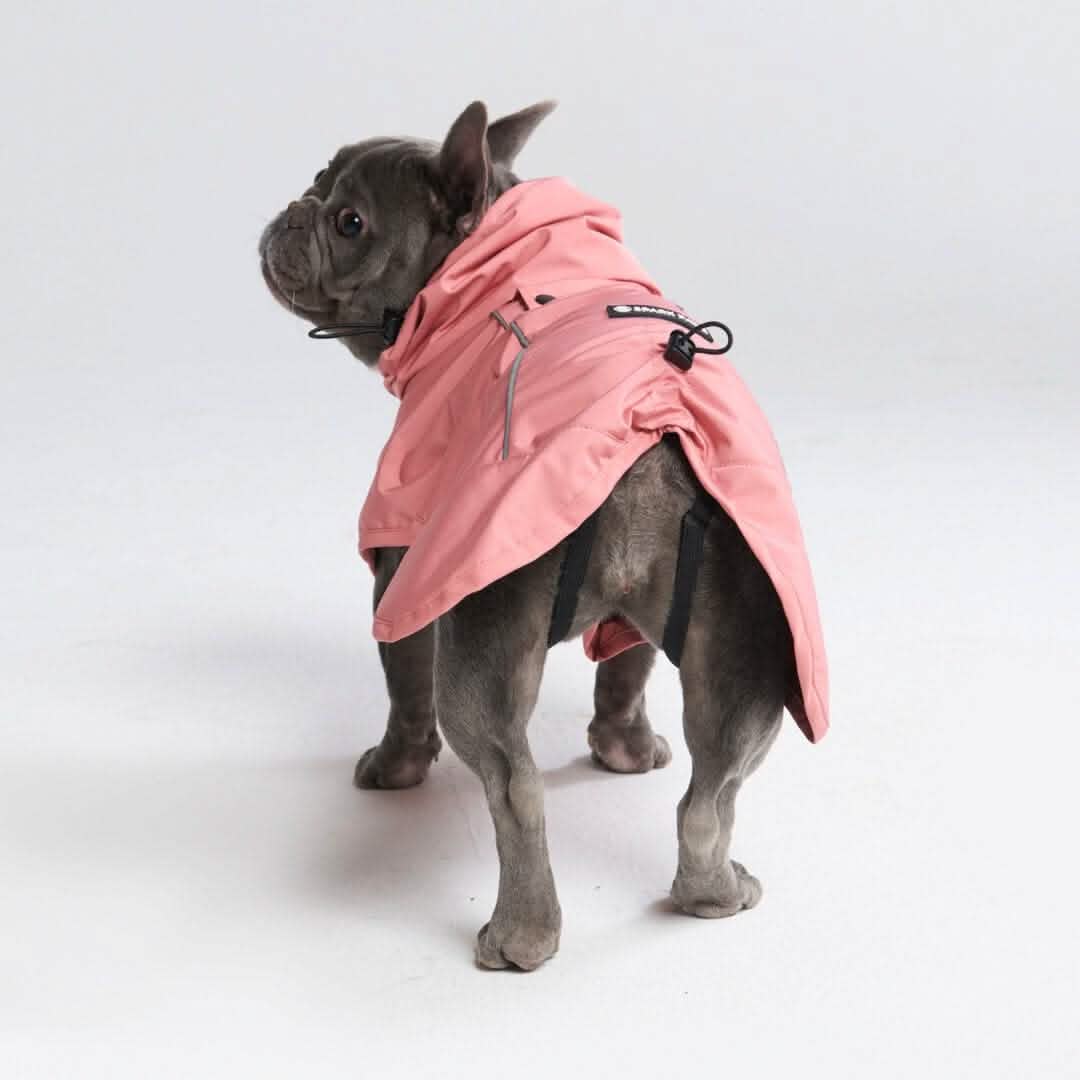 Breatheshield™ Dog Raincoat (Multi-Color) - Image 42