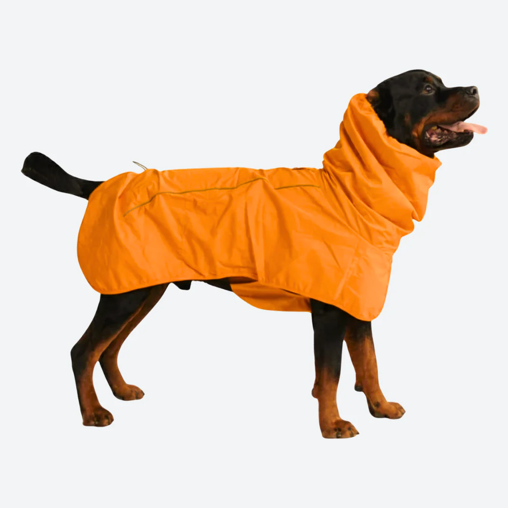 Breatheshield™ Dog Raincoat (Multi-Color) - Image 67