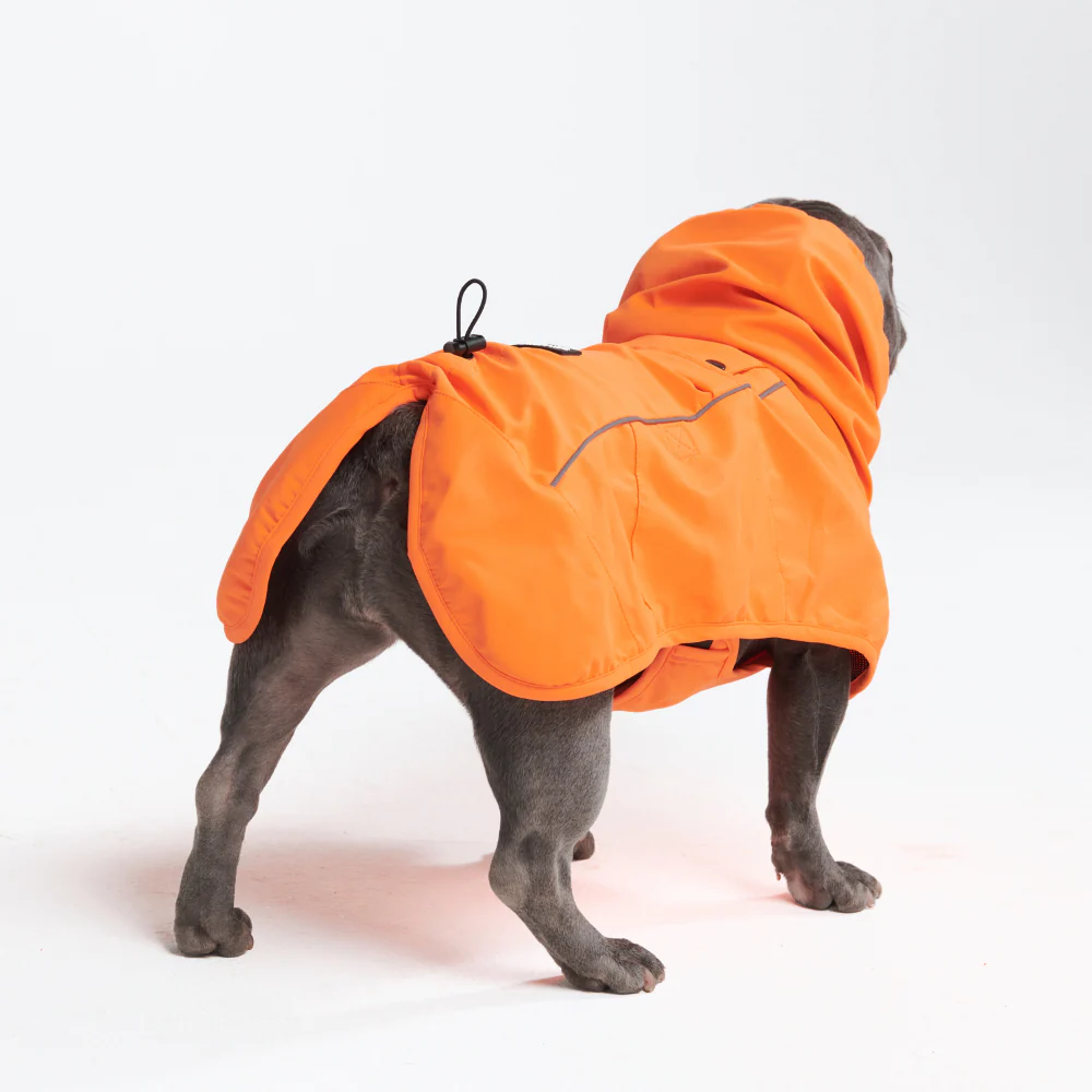 Breatheshield™ Dog Raincoat (Multi-Color) - Image 69
