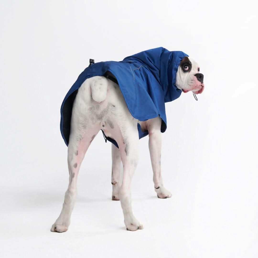 Breatheshield™ Dog Raincoat (Multi-Color) - Image 76