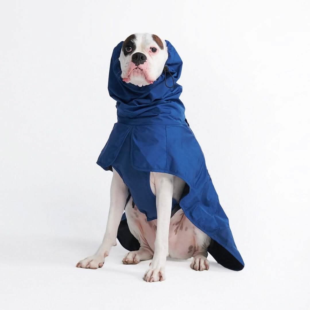 Breatheshield™ Dog Raincoat (Multi-Color) - Image 78