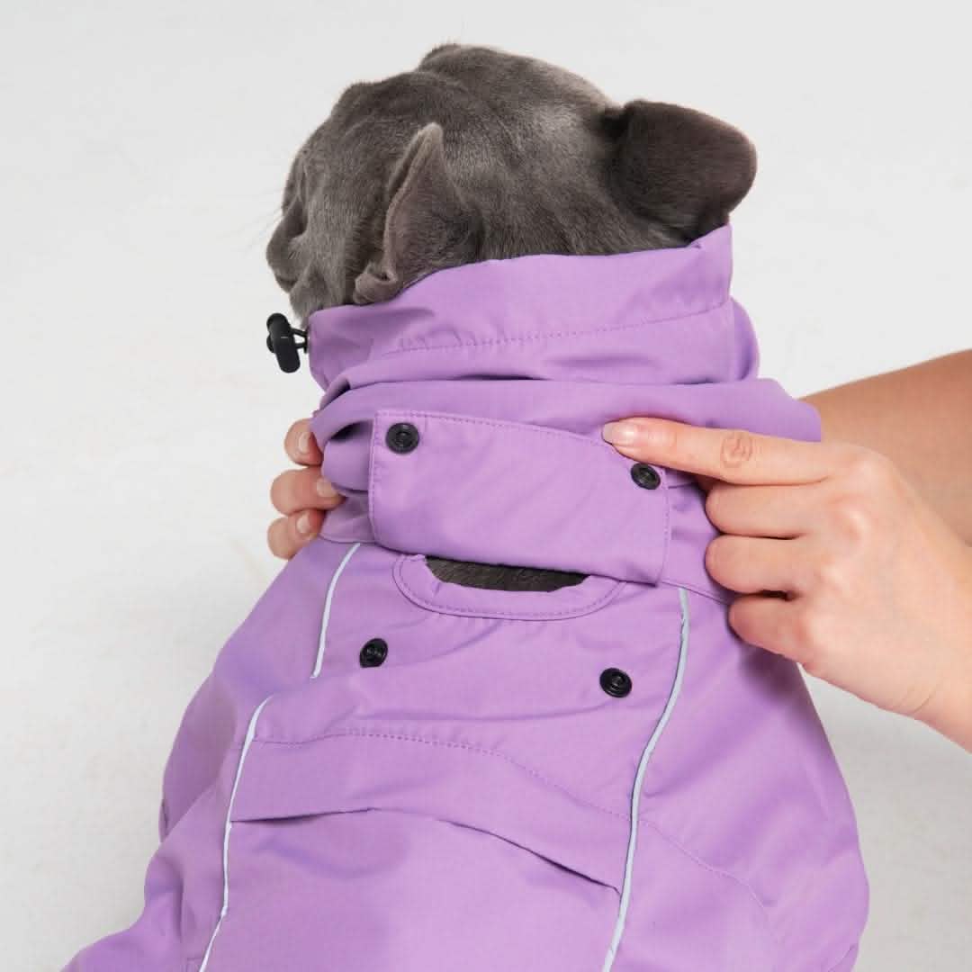 Breatheshield™ Dog Raincoat - Purple - Image 3