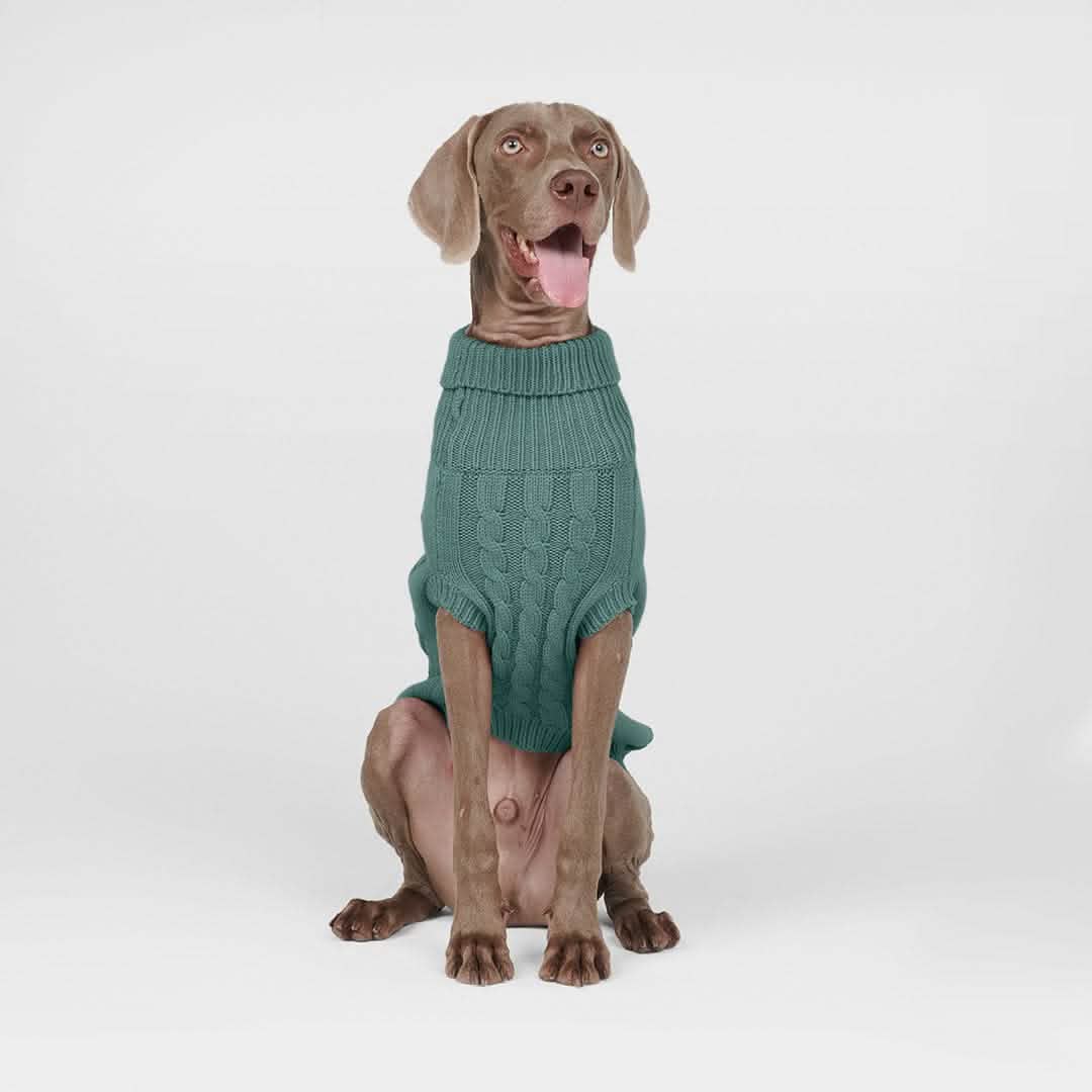 Cable Knit Dog Sweater - Pine Green - Image 3