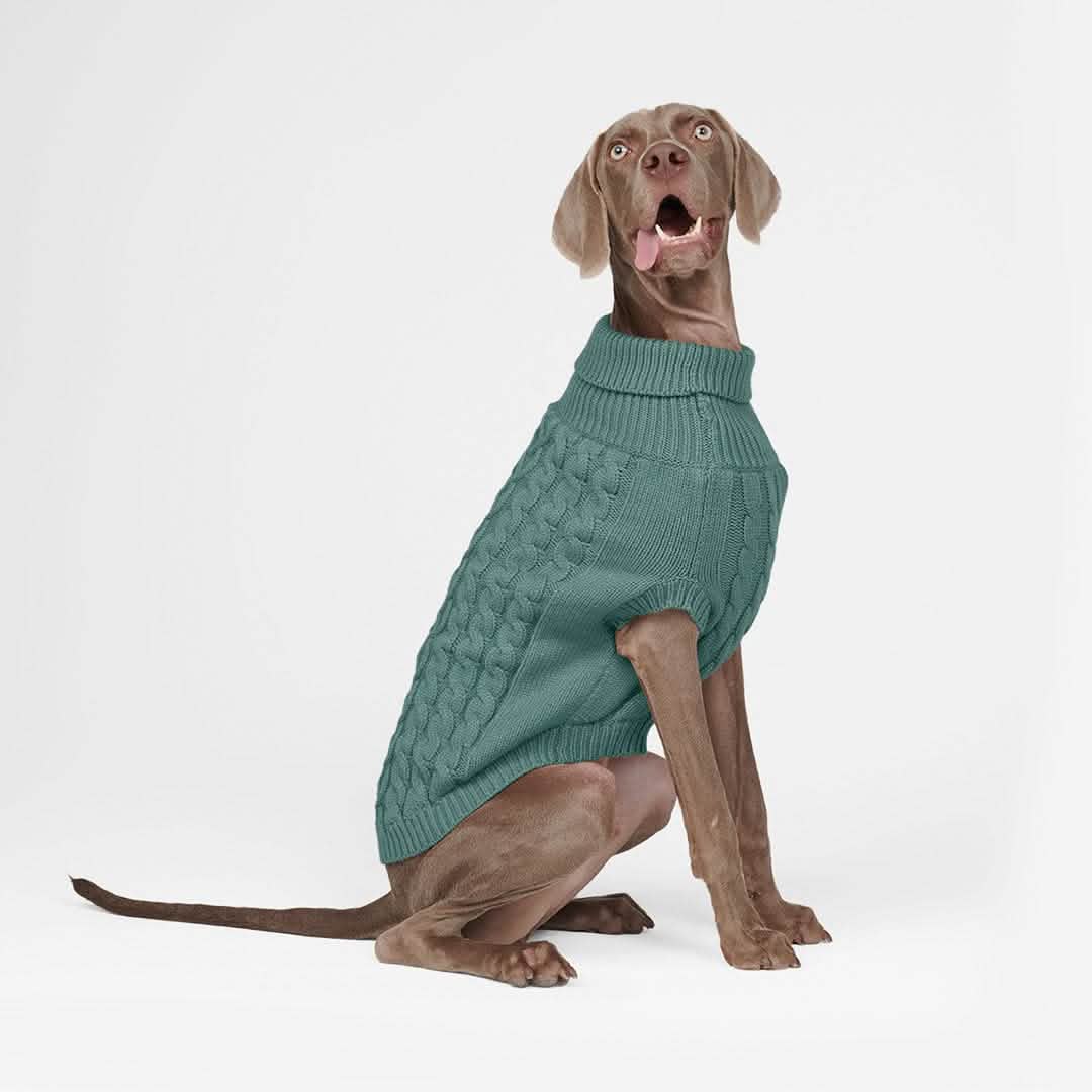 Cable Knit Dog Sweater - Pine Green - Image 5