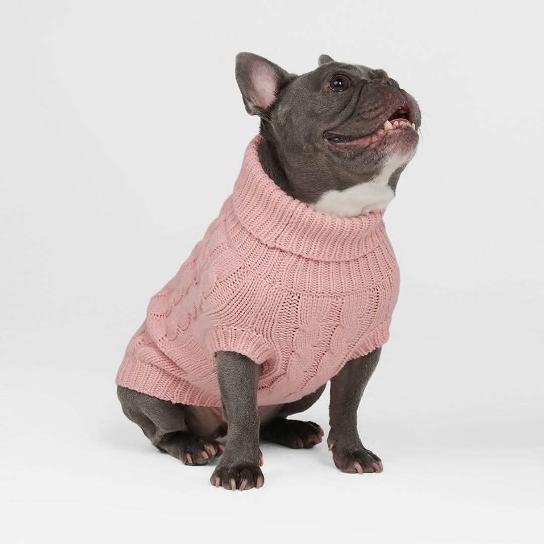 Cable Knit Dog Sweater - Pink - Image 5