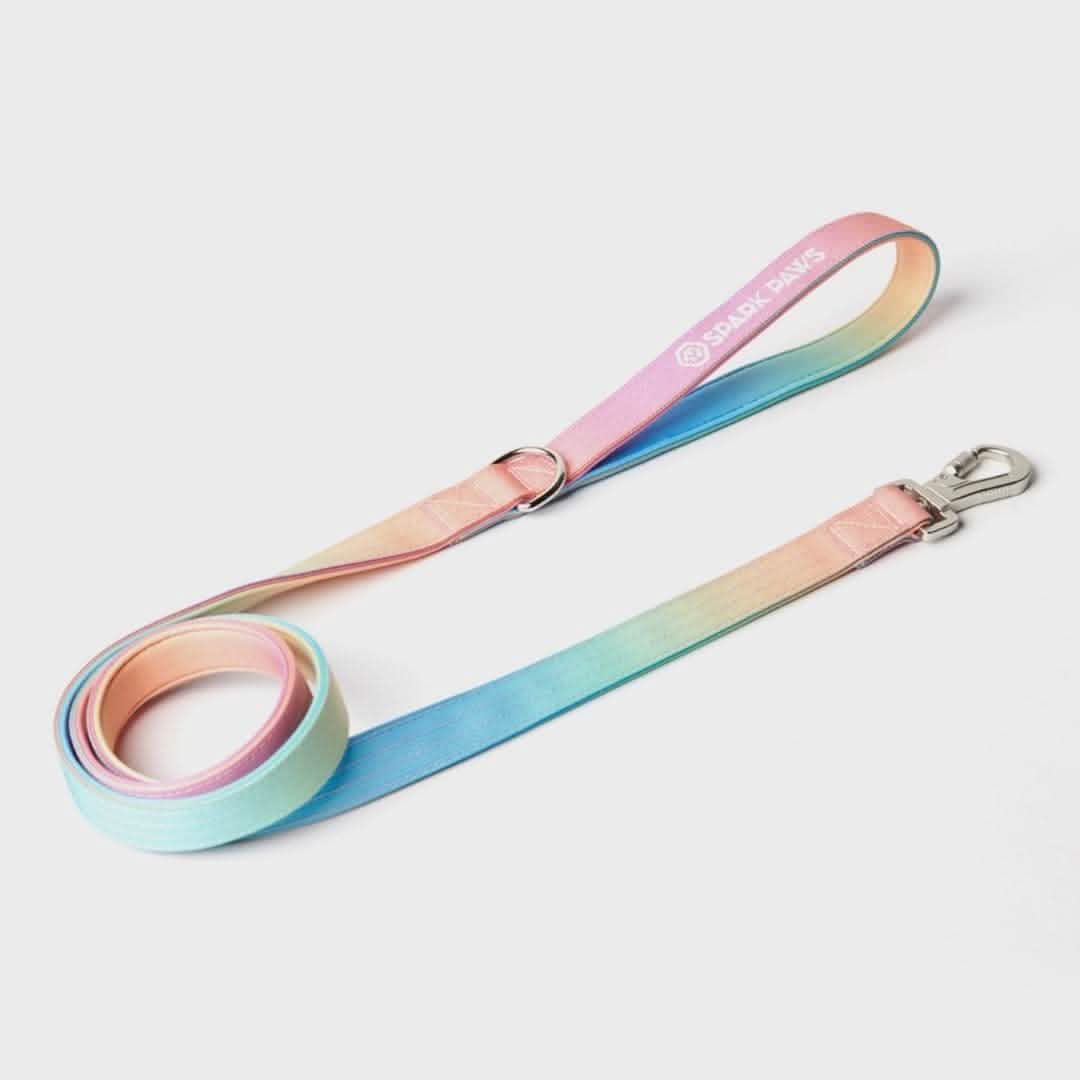 Comfort Control Dog Leash (Multi Color) - Image 7
