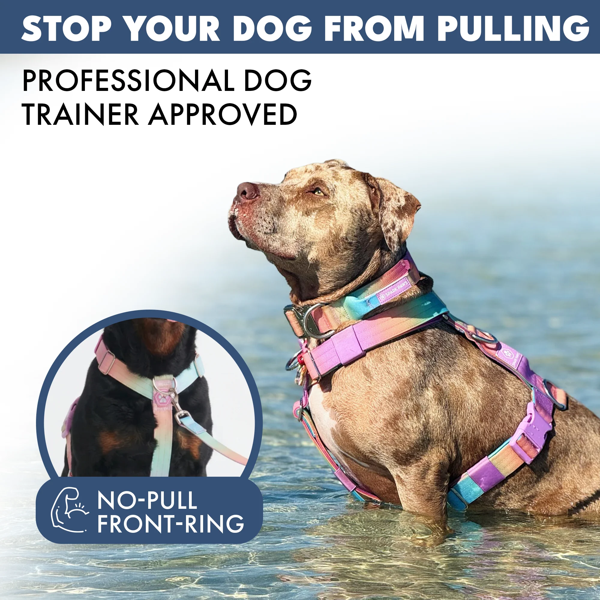 Comfort Control No-Pull Harness Sets - Image 10
