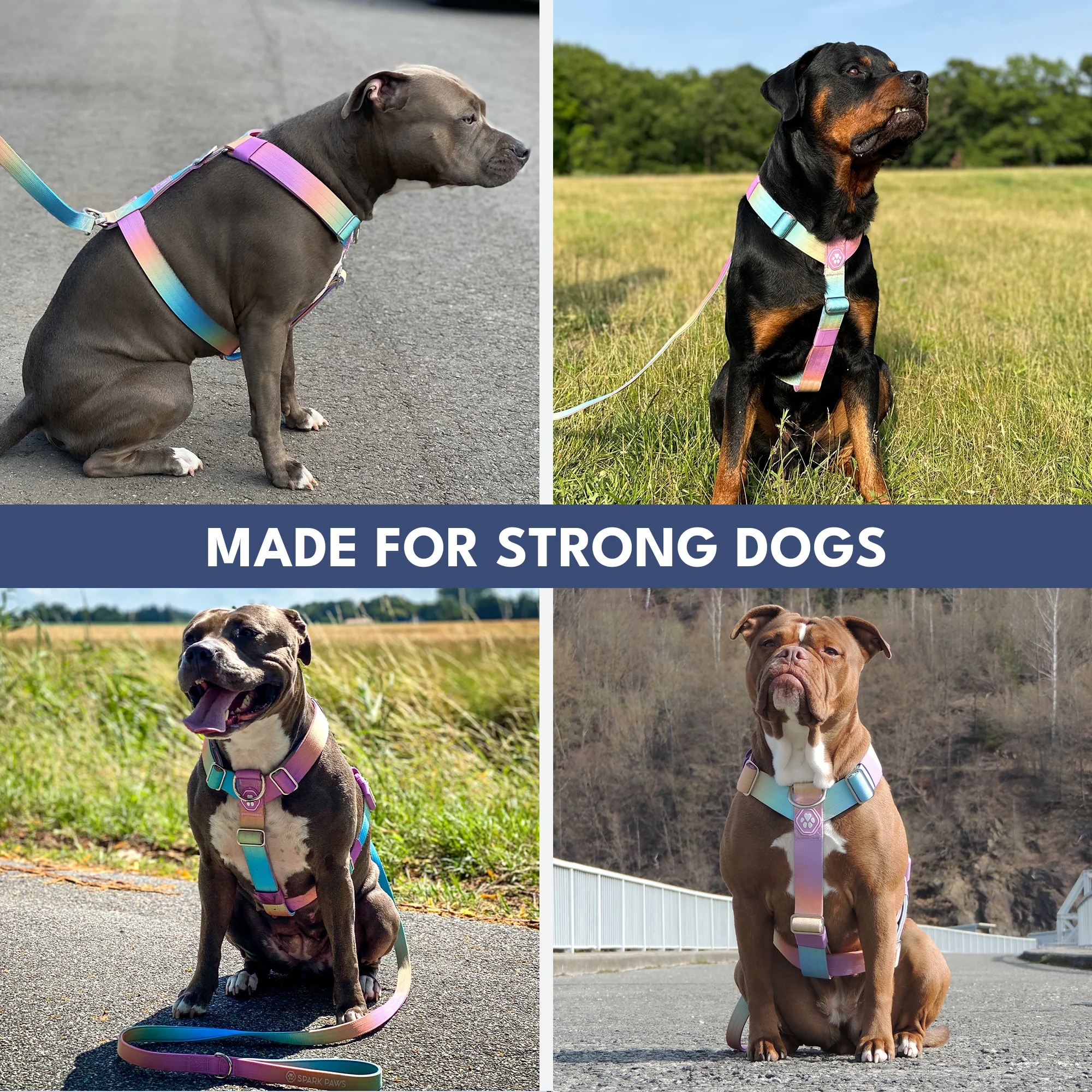 Comfort Control No-Pull Harness Sets - Image 13