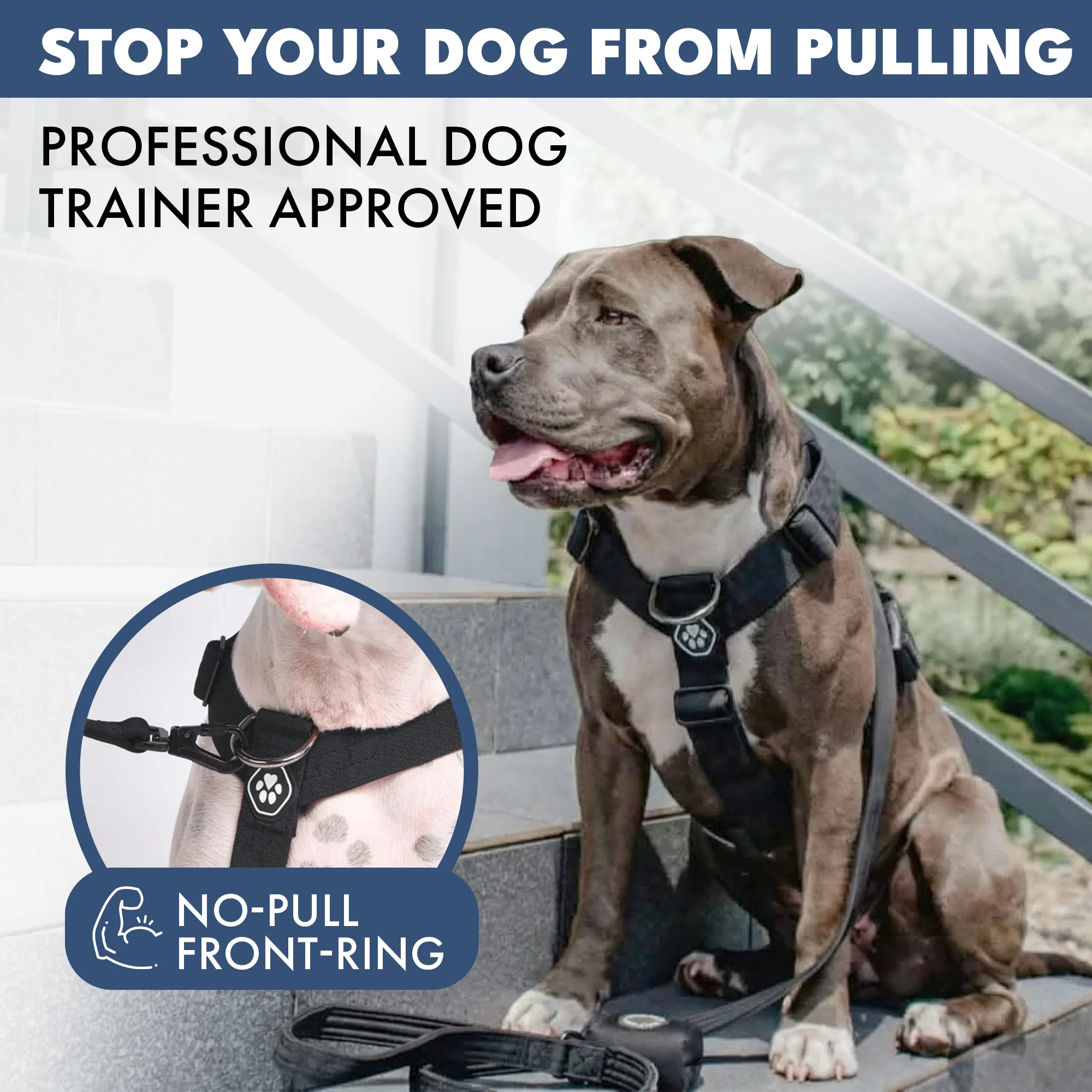 Comfort Control No-Pull Harness Sets - Image 24