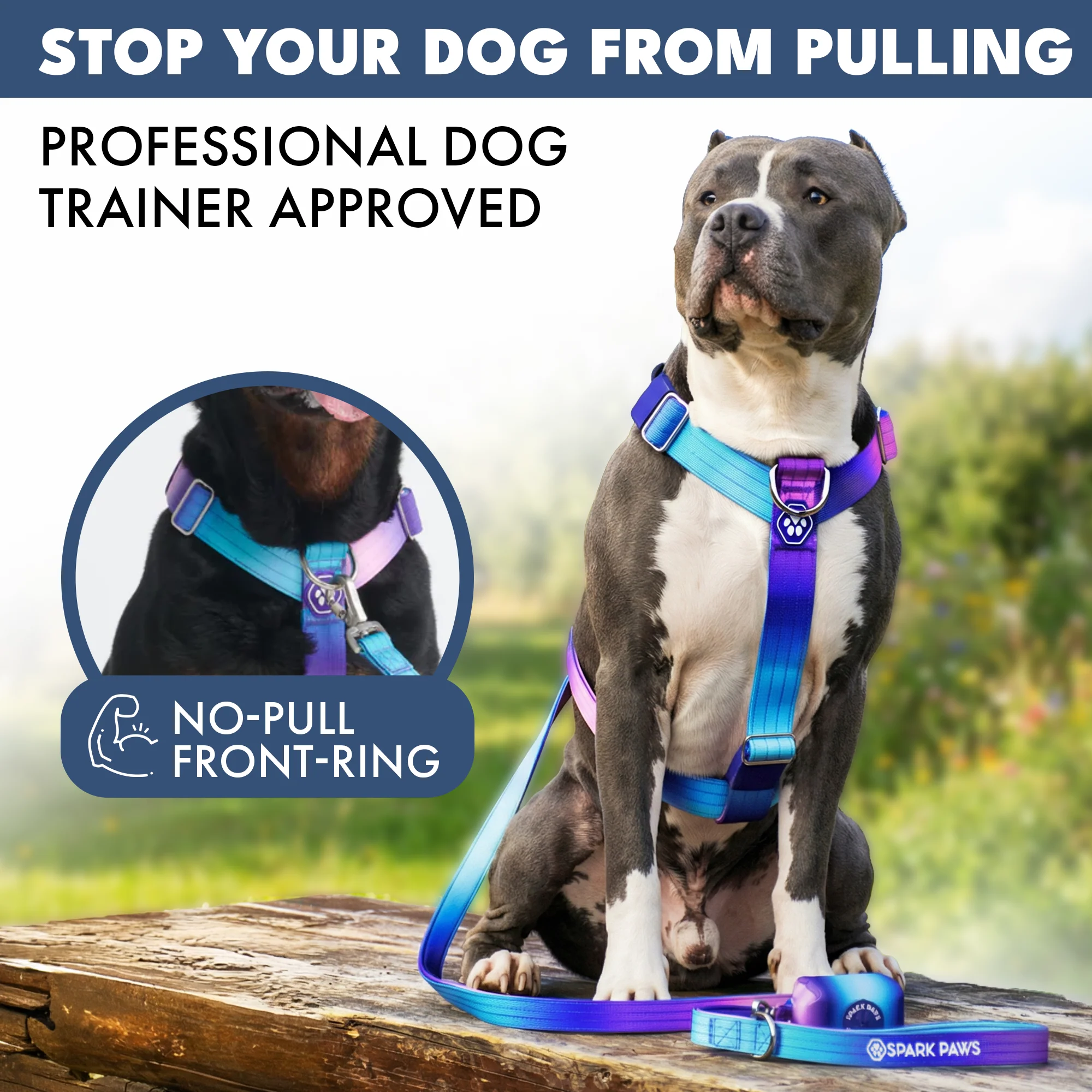 Comfort Control No-Pull Harness Sets - Image 3