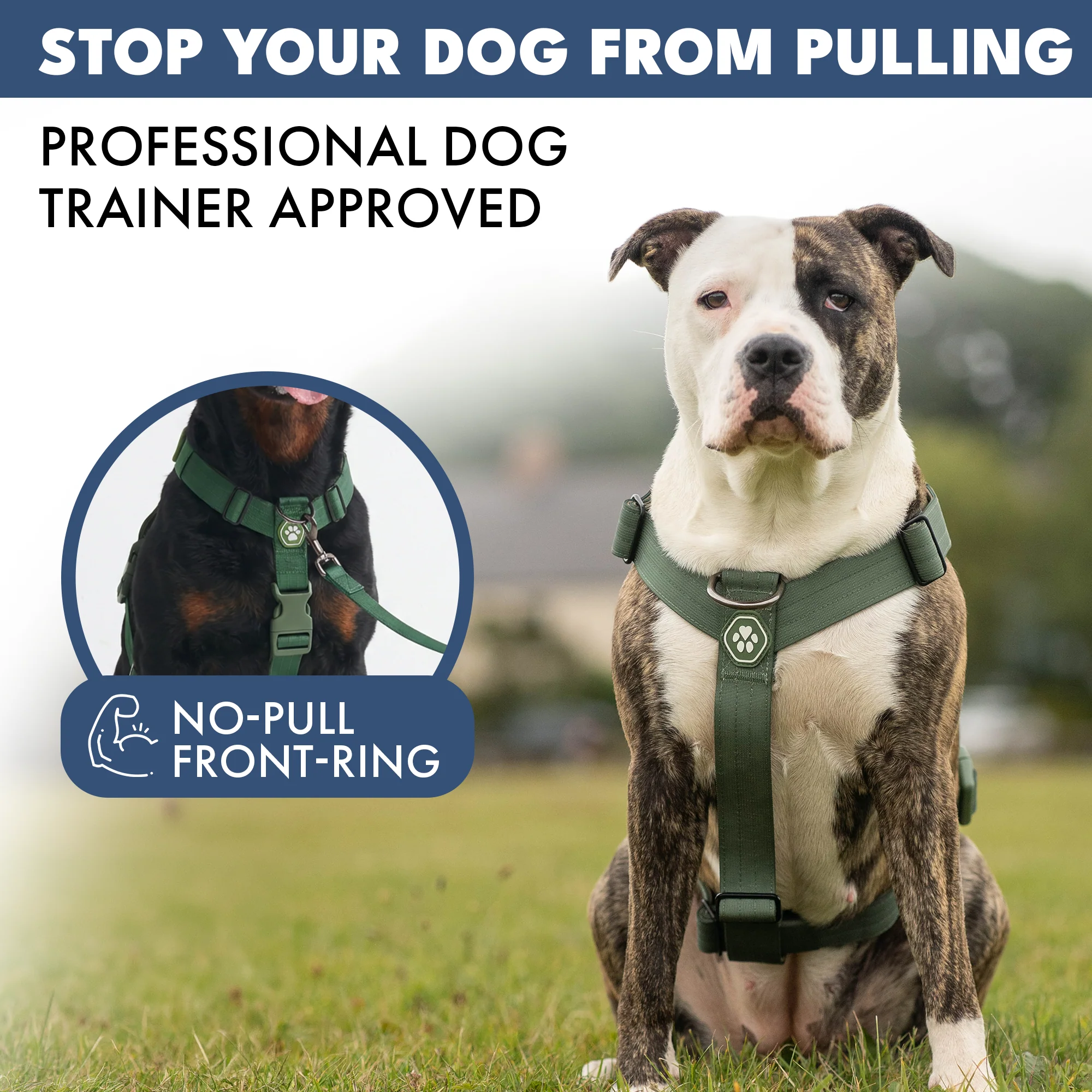 Comfort Control No-Pull Harness Sets - Image 31