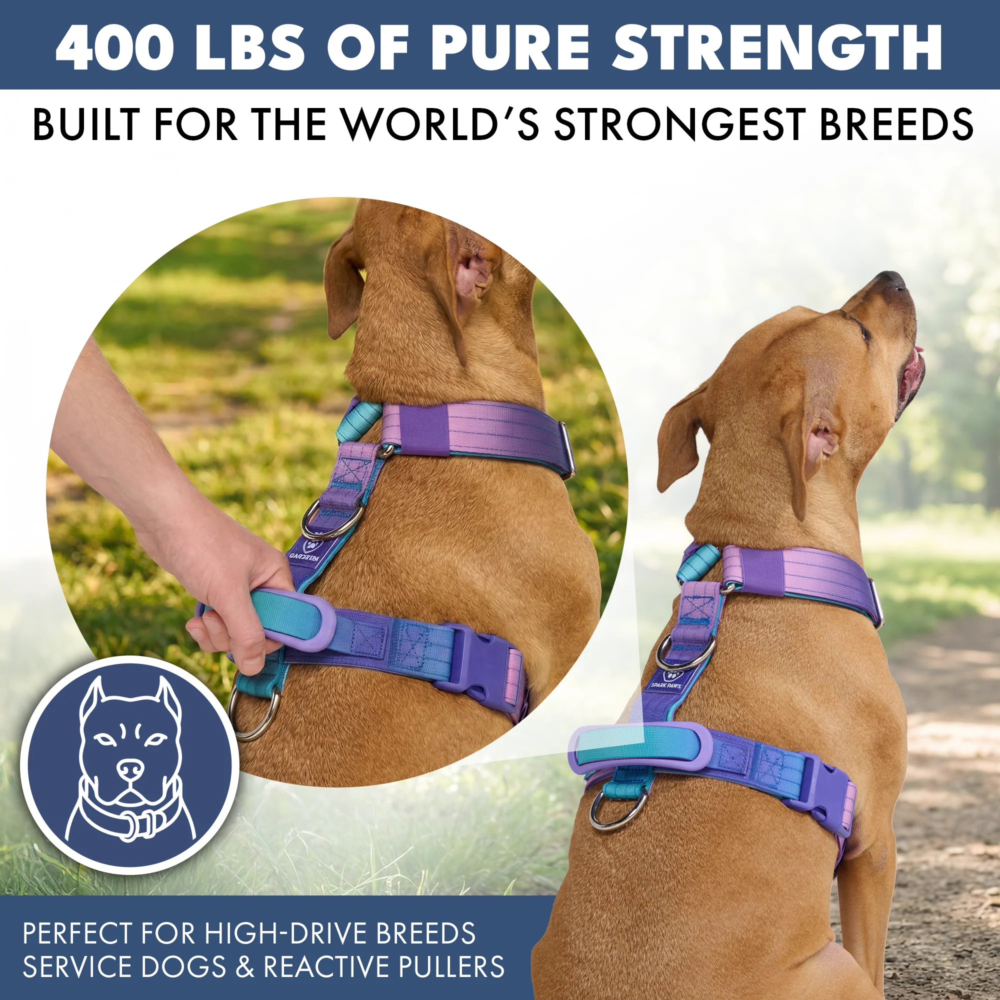 Comfort Control No-Pull Harness Sets - Image 4