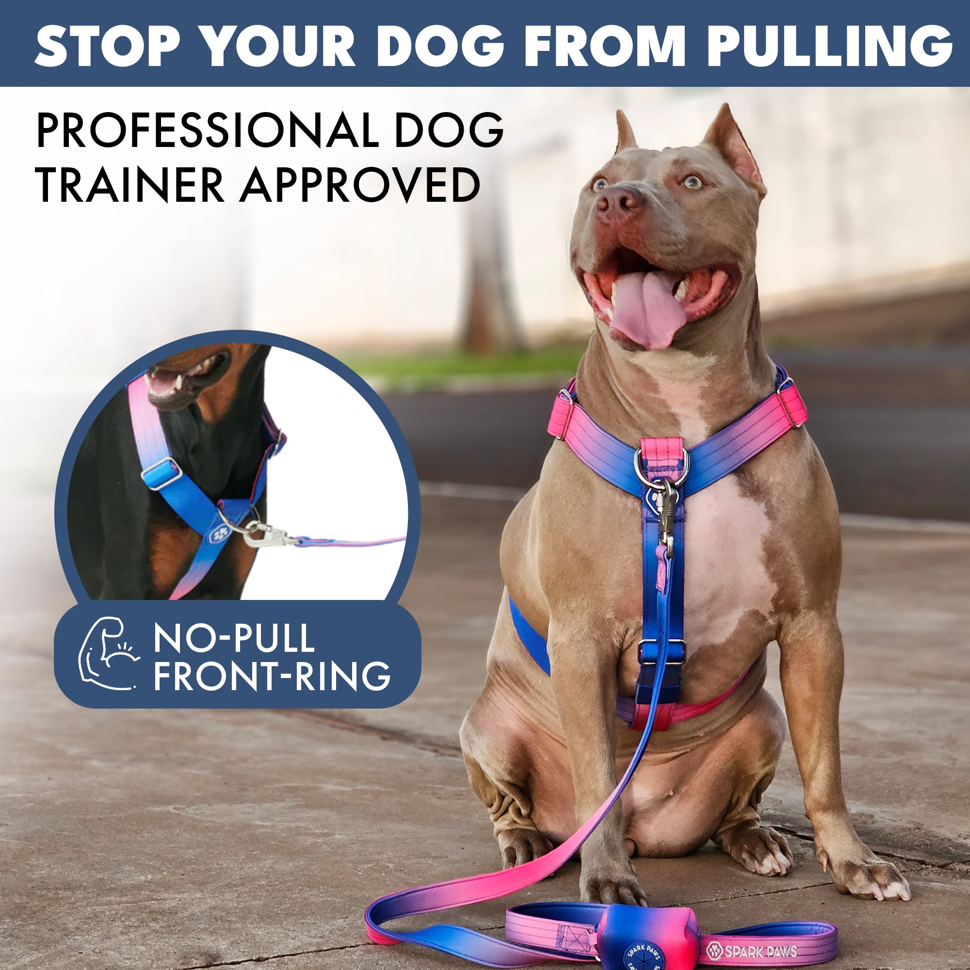 Comfort Control No-Pull Harness Sets - Image 38