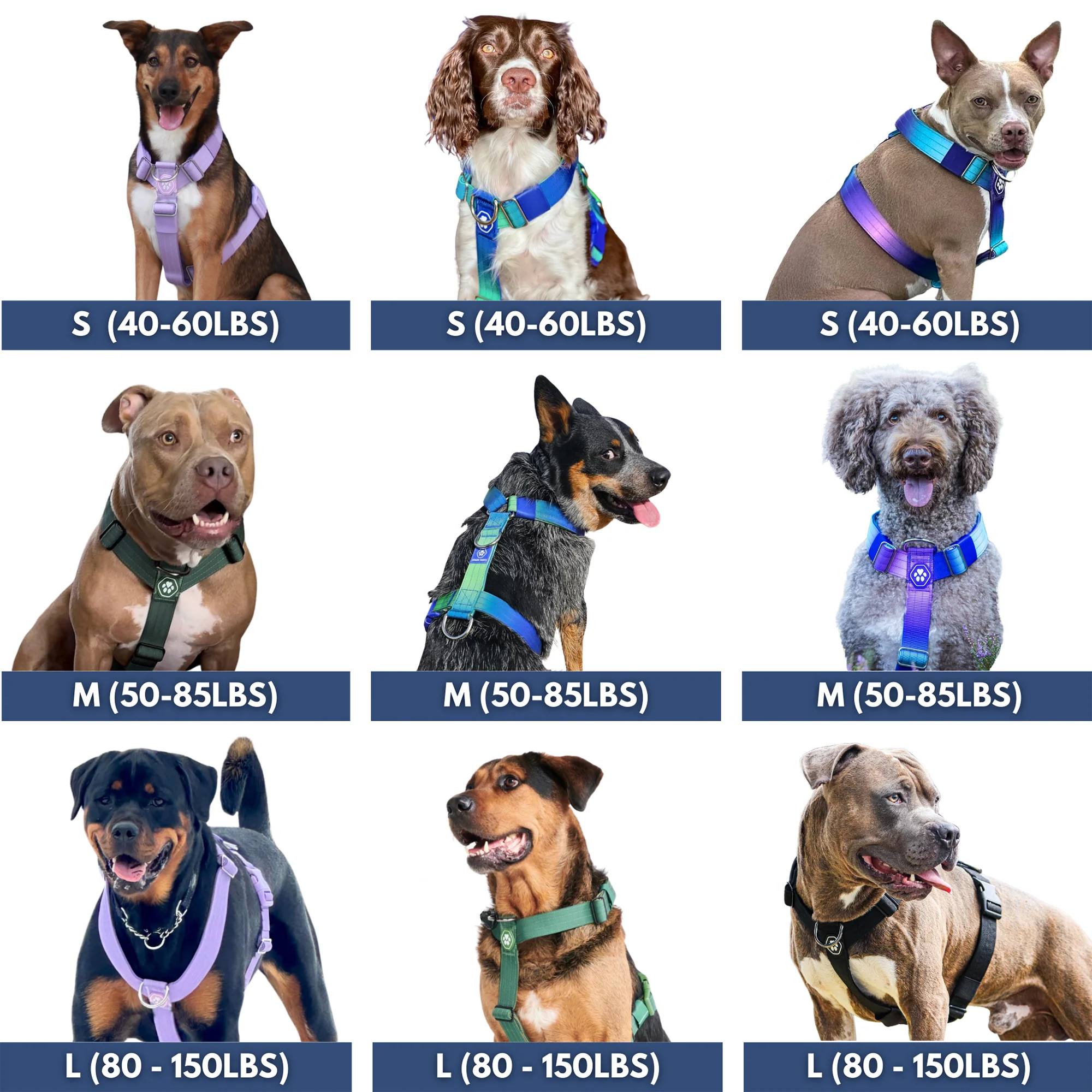 Comfort Control No-Pull Dog Harnesses - Image 47