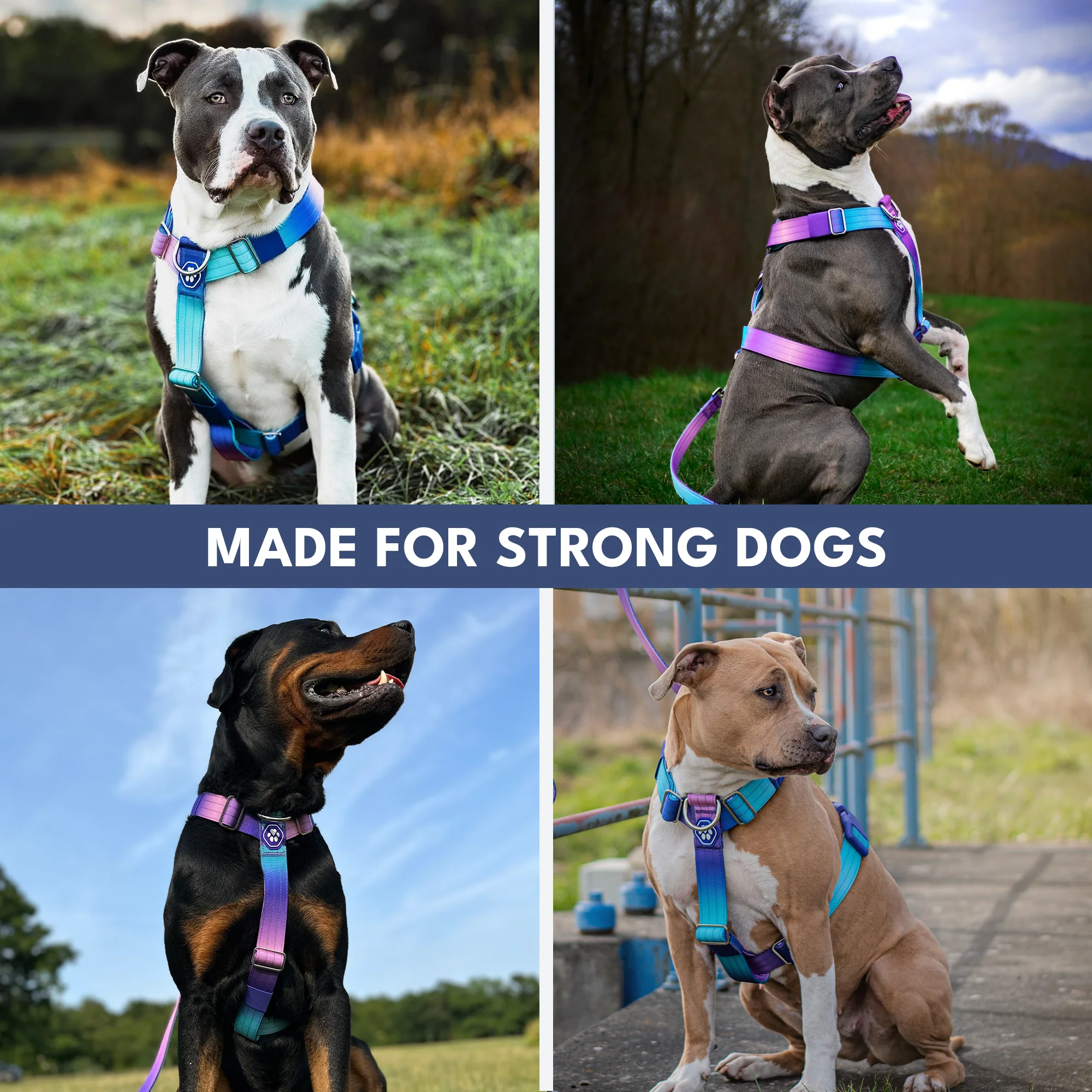 Comfort Control No-Pull Harness Sets - Image 6