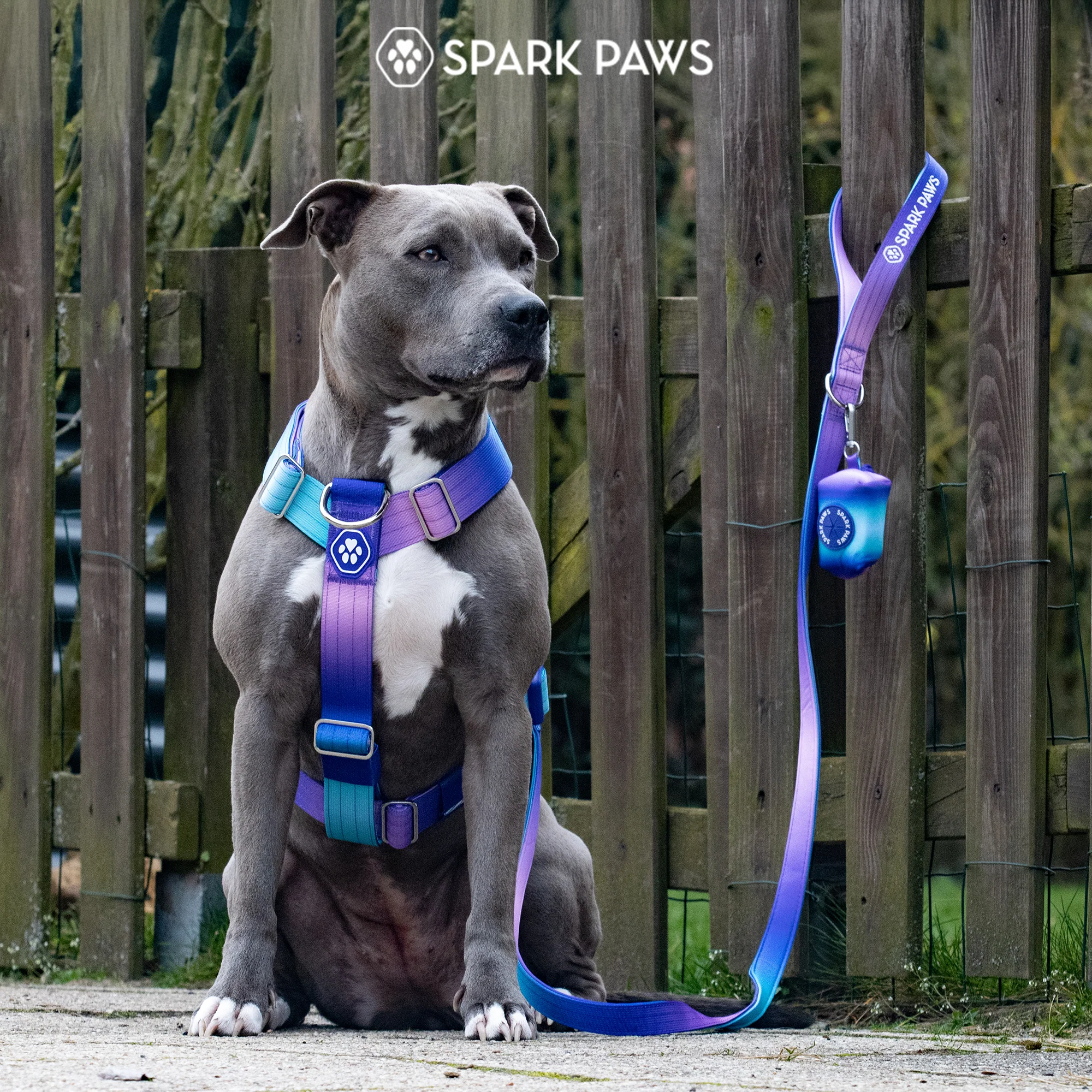 Comfort Control No-Pull Harness Sets - Image 7
