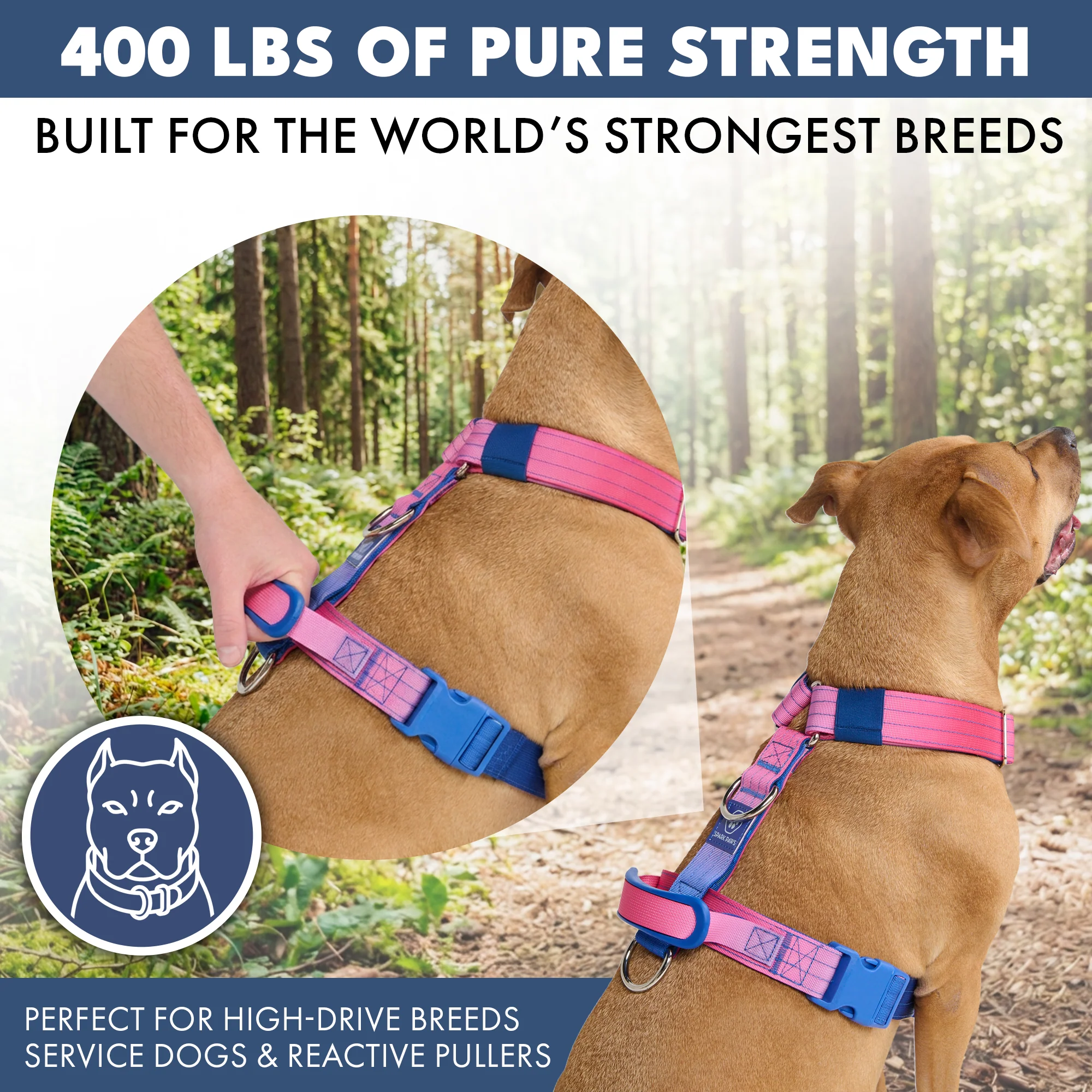 Comfort Control No-Pull Dog Harness - Snow Cone - Image 5