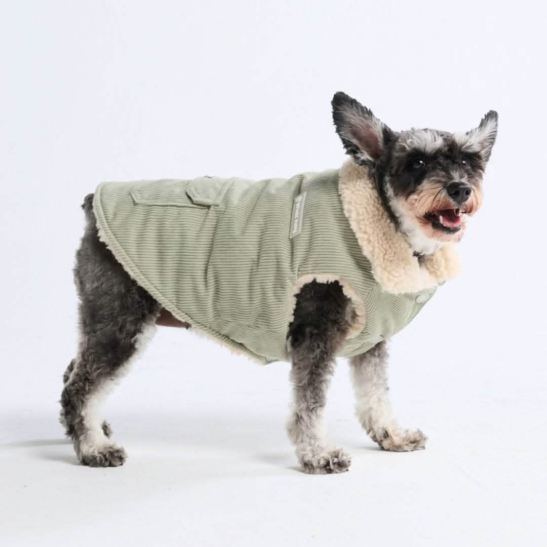 Corduroy Insulated Jacket - Mint - Image 3