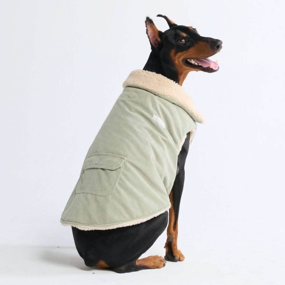 Corduroy Insulated Jacket - Mint - Image 4
