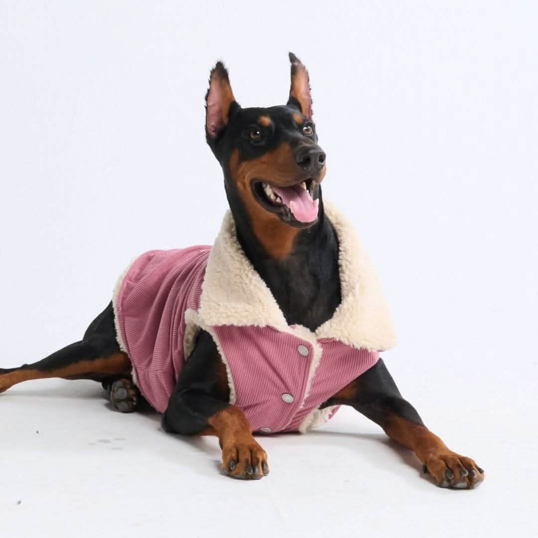 Corduroy Insulated Jacket - Pink - Image 4