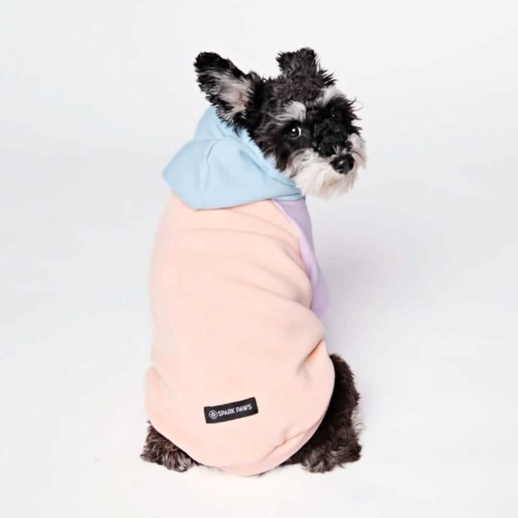 Cotton Candy Dog Hoodie - Image 10