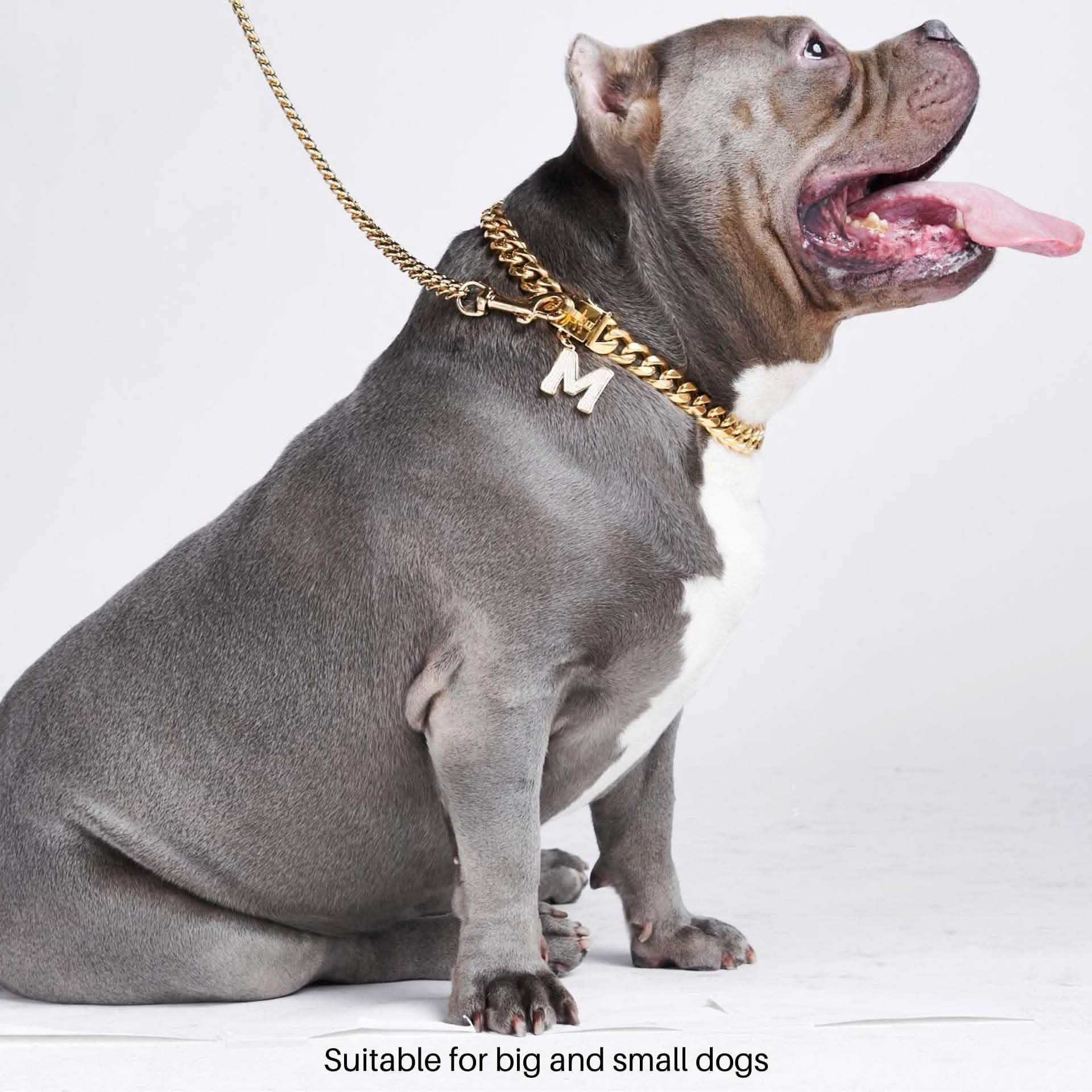 Gold Chain Dog Collar 20mm - Image 4