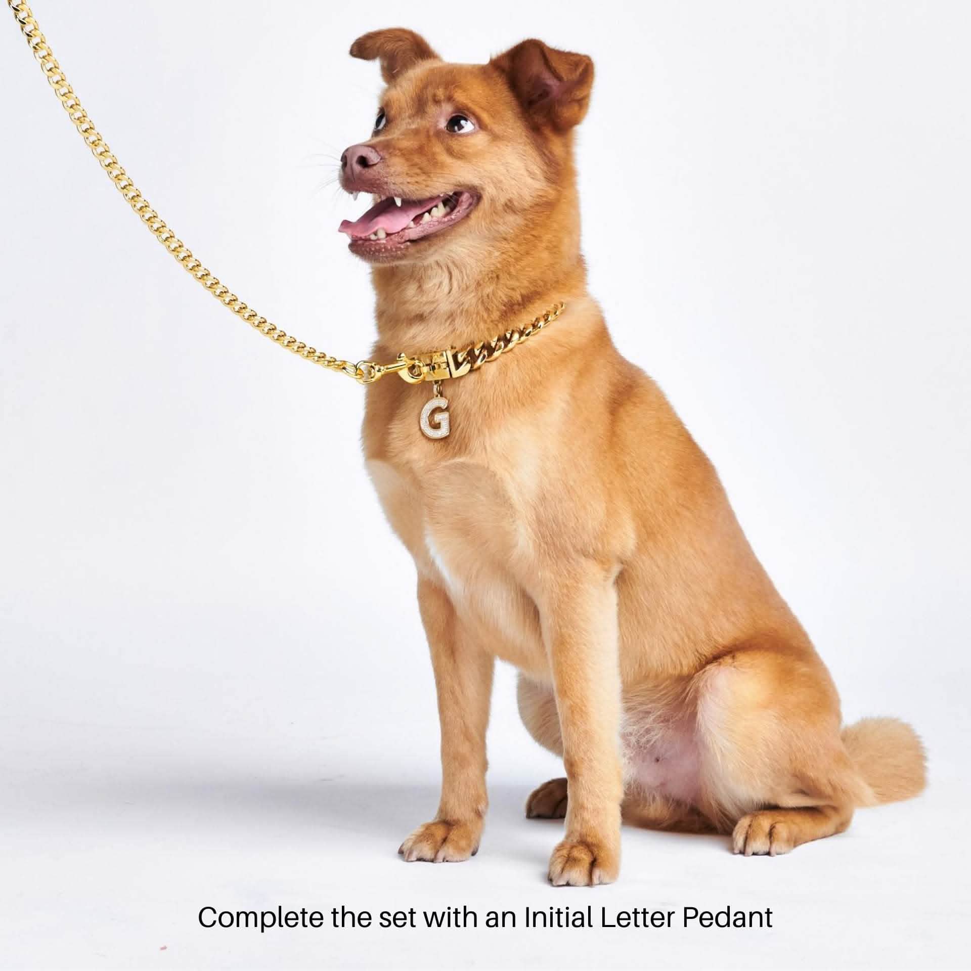Cuban Link Chain Dog Collar - Gold - Image 6